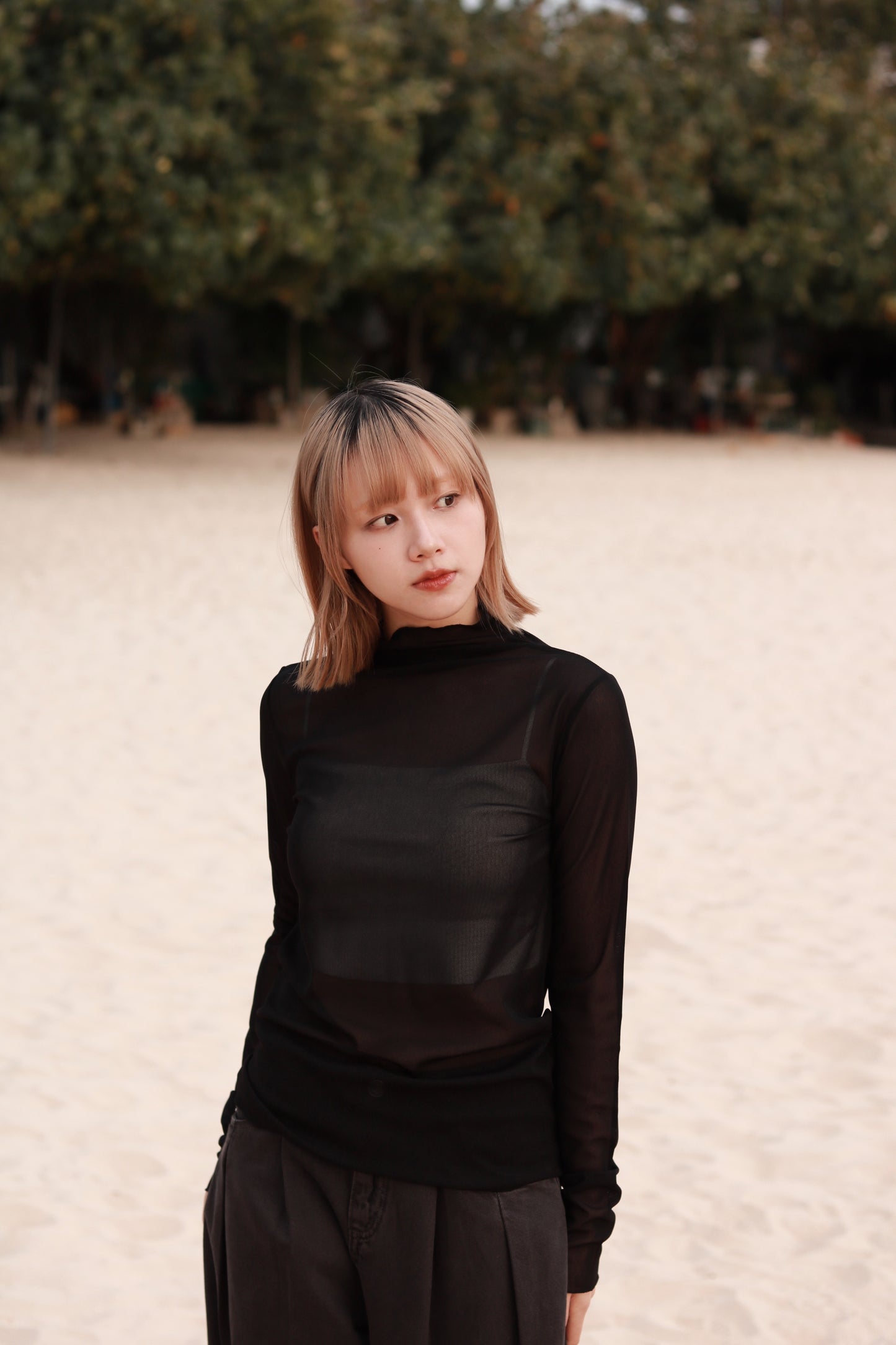 Spring See Through Top (Black)