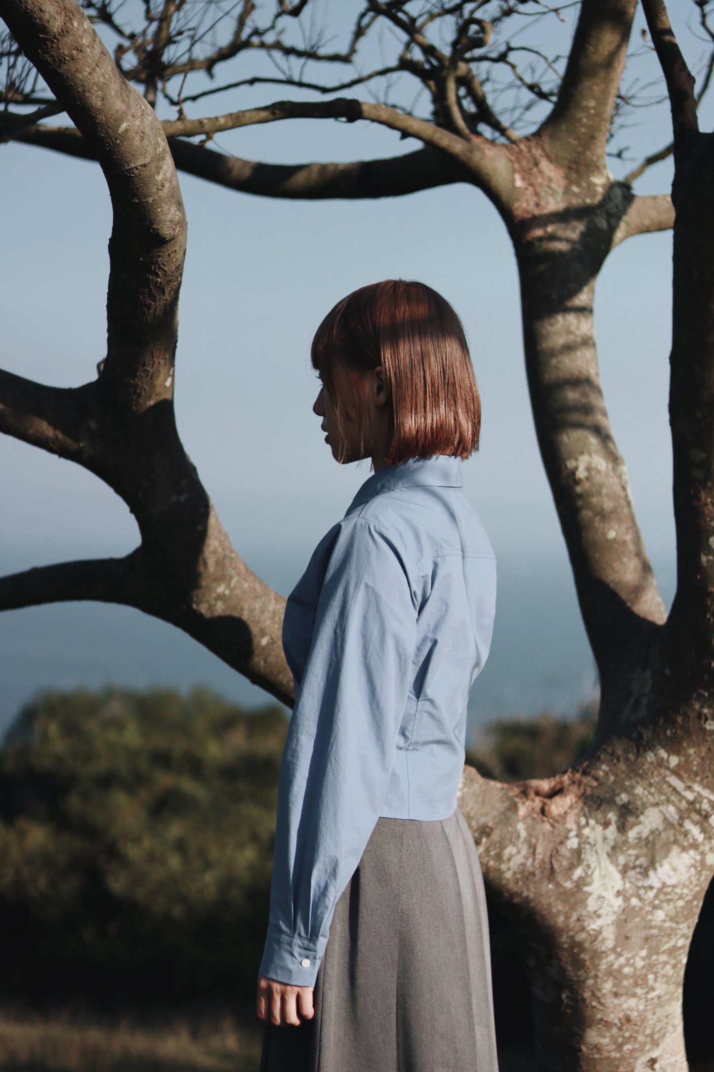 Cropped Shirt (Blue)