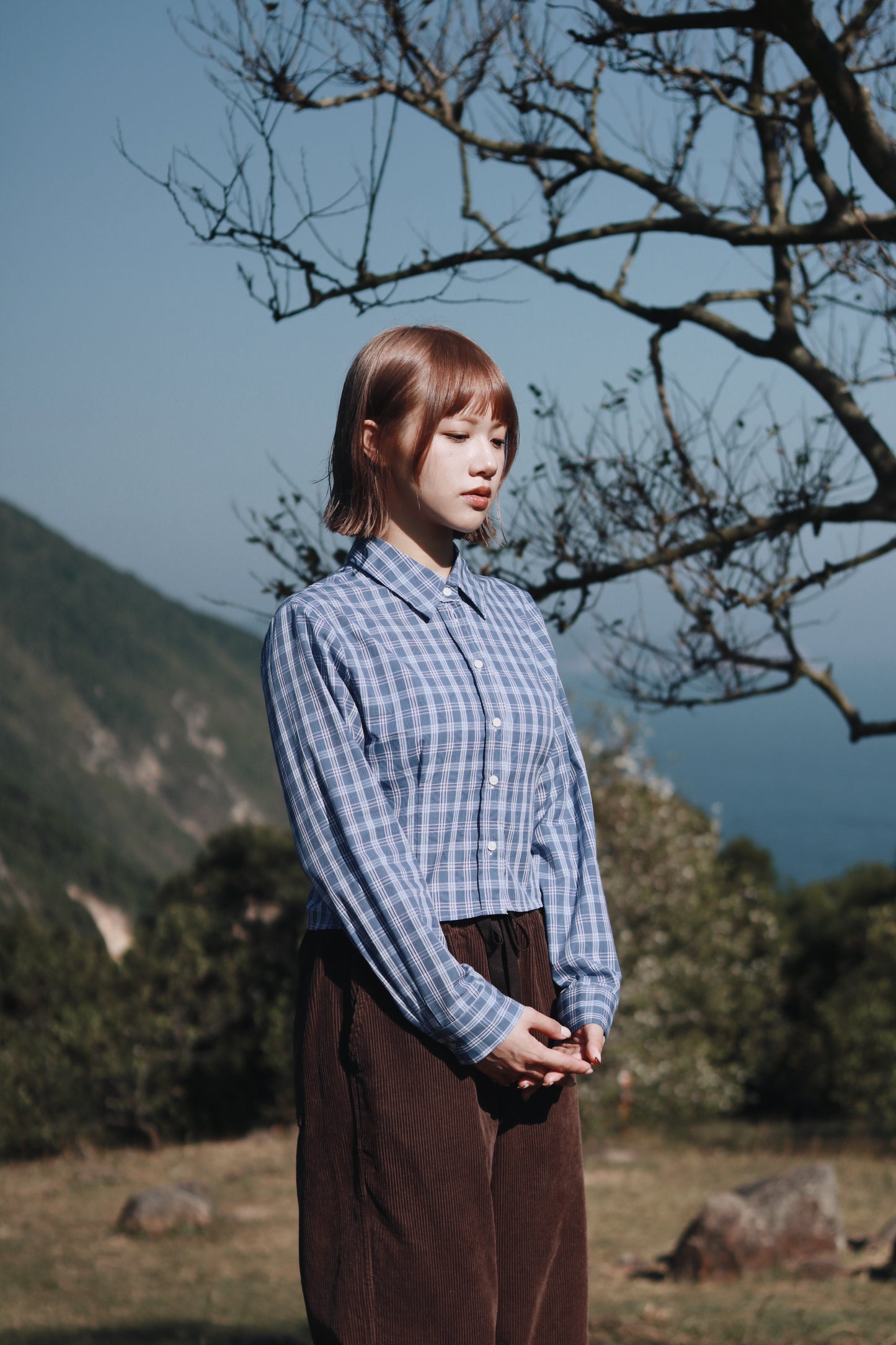 Cropped Shirt (Checkered)