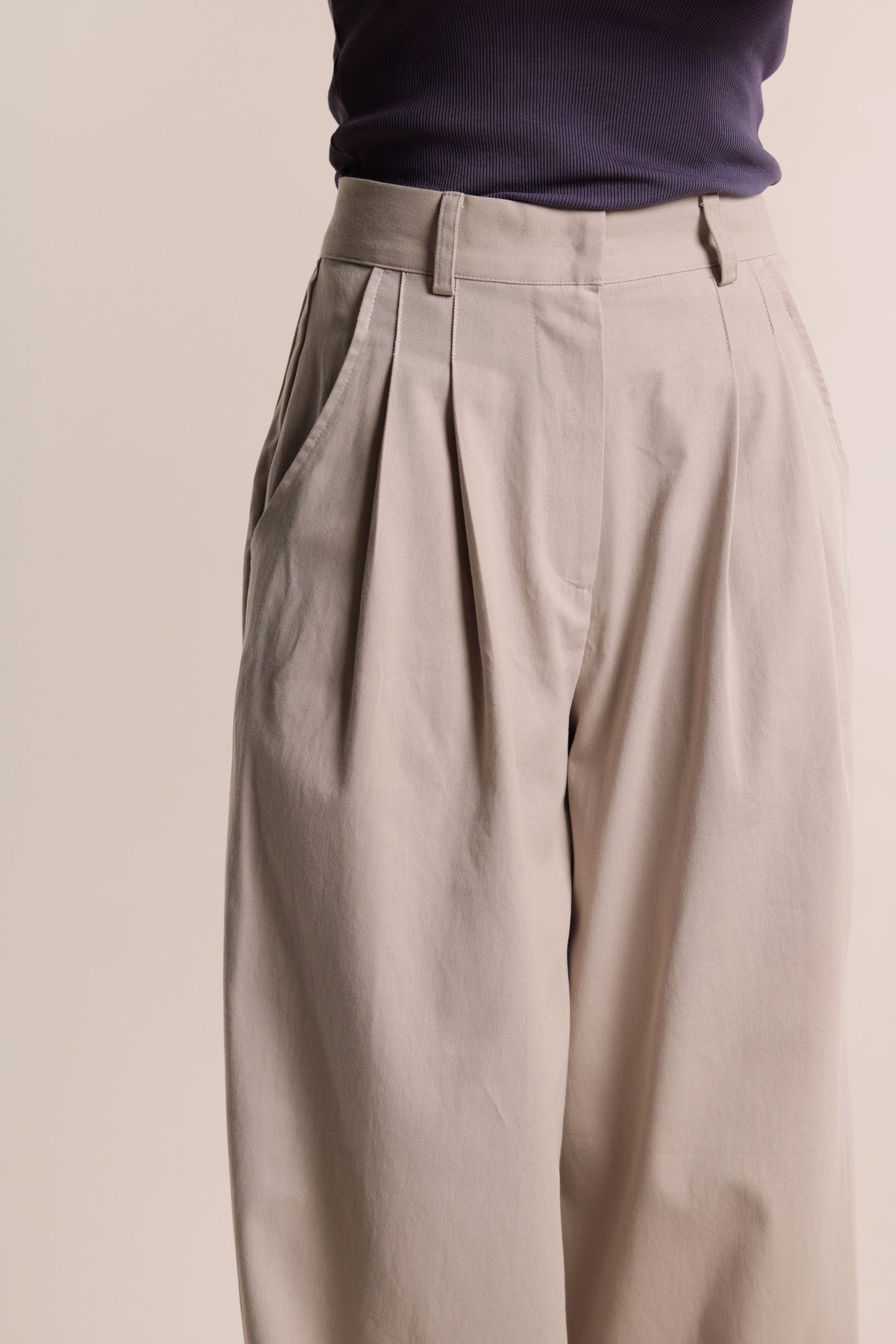 Check Detail Pleated Pants (Beige)