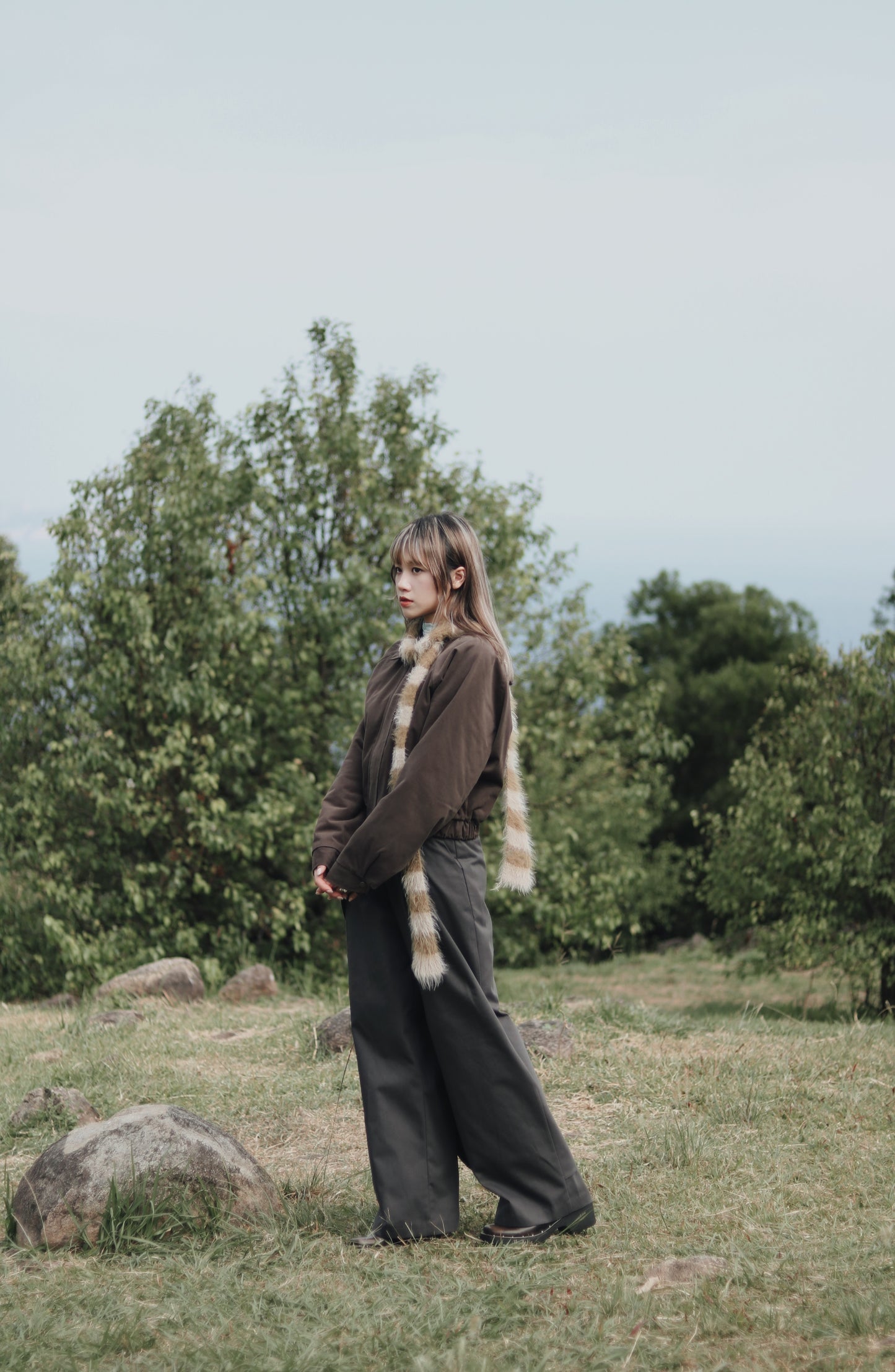 Cropped Blouson Jacket (Brown)