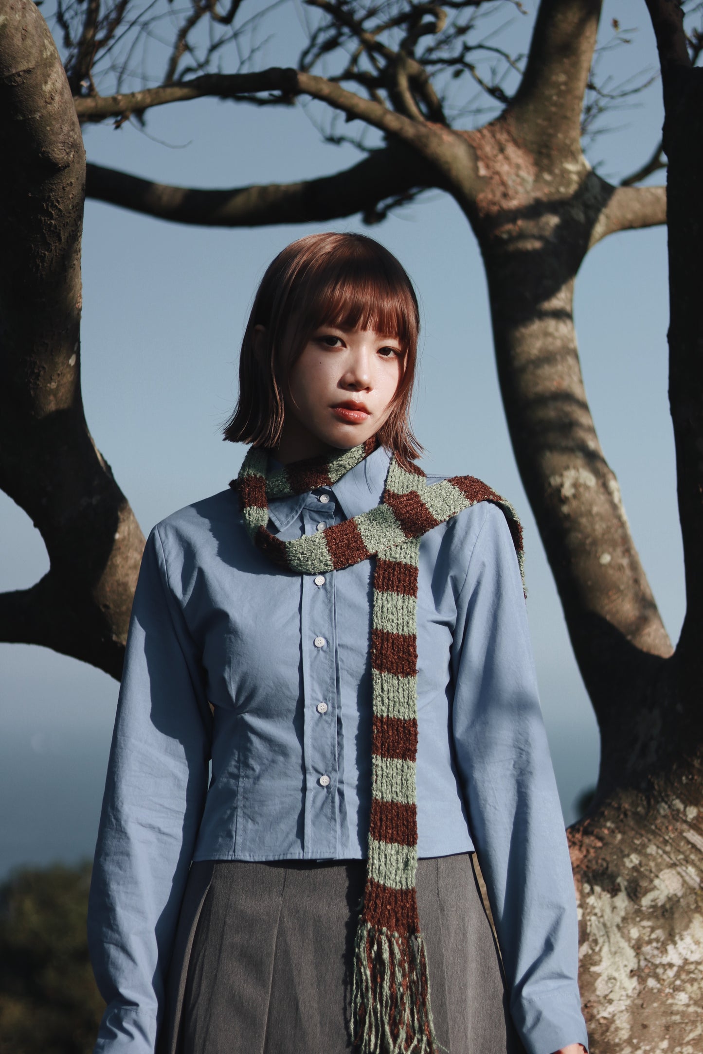 Cropped Shirt (Blue)