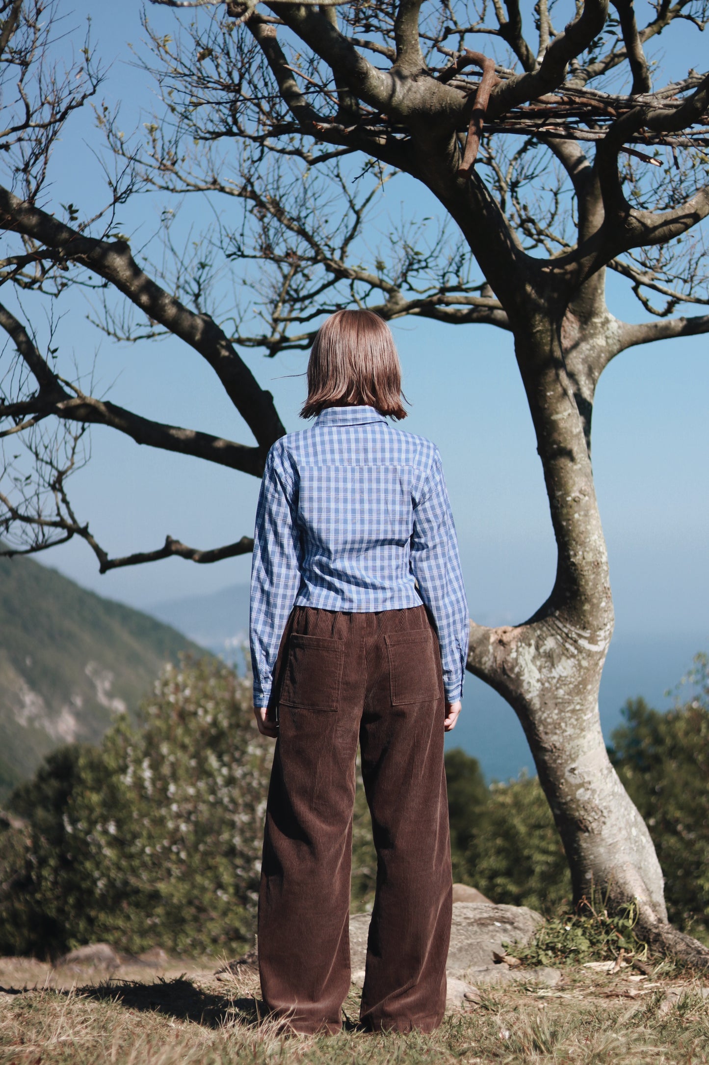 Cropped Shirt (Checkered)