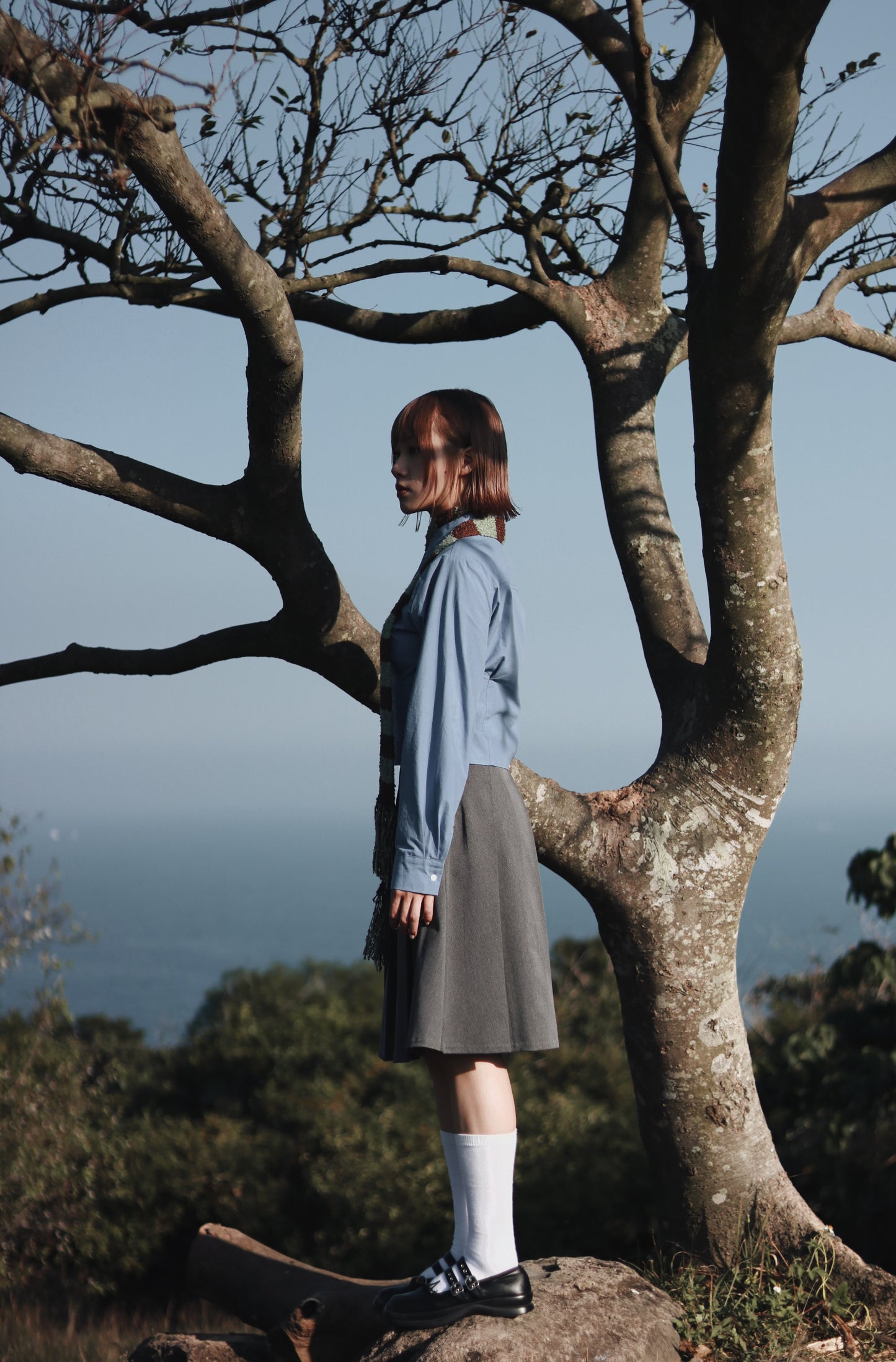 Cropped Shirt (Blue)