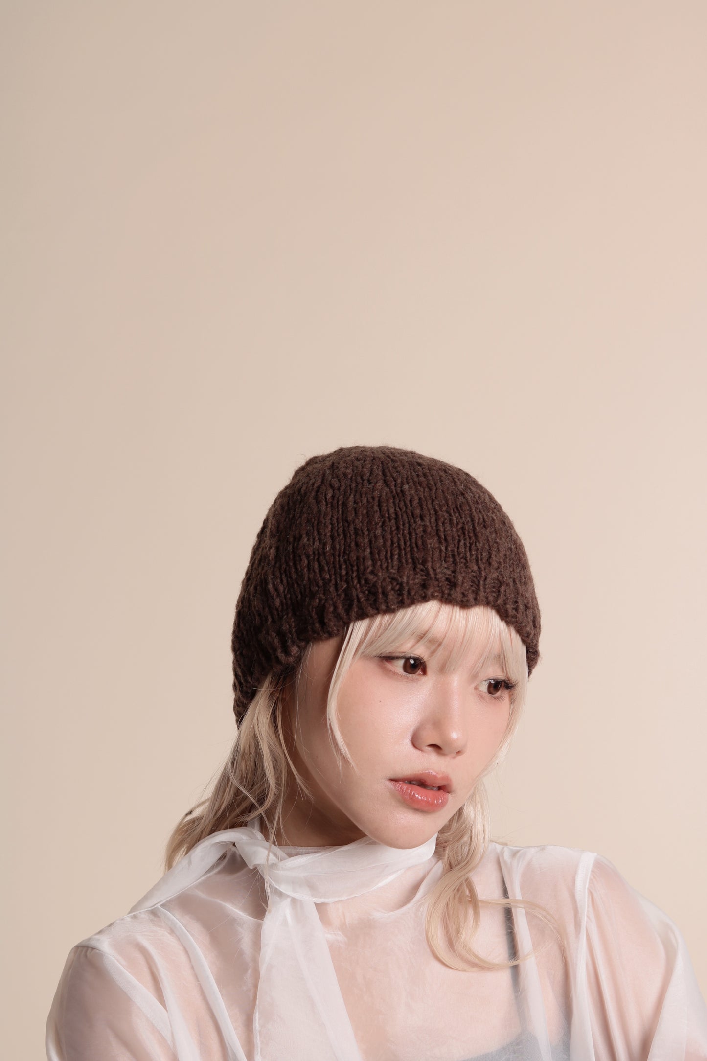 Knit Beanie (Brown)