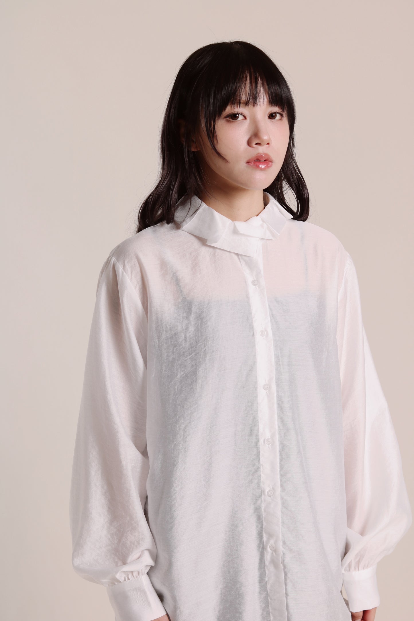 Sheer Collar Shirt (White)