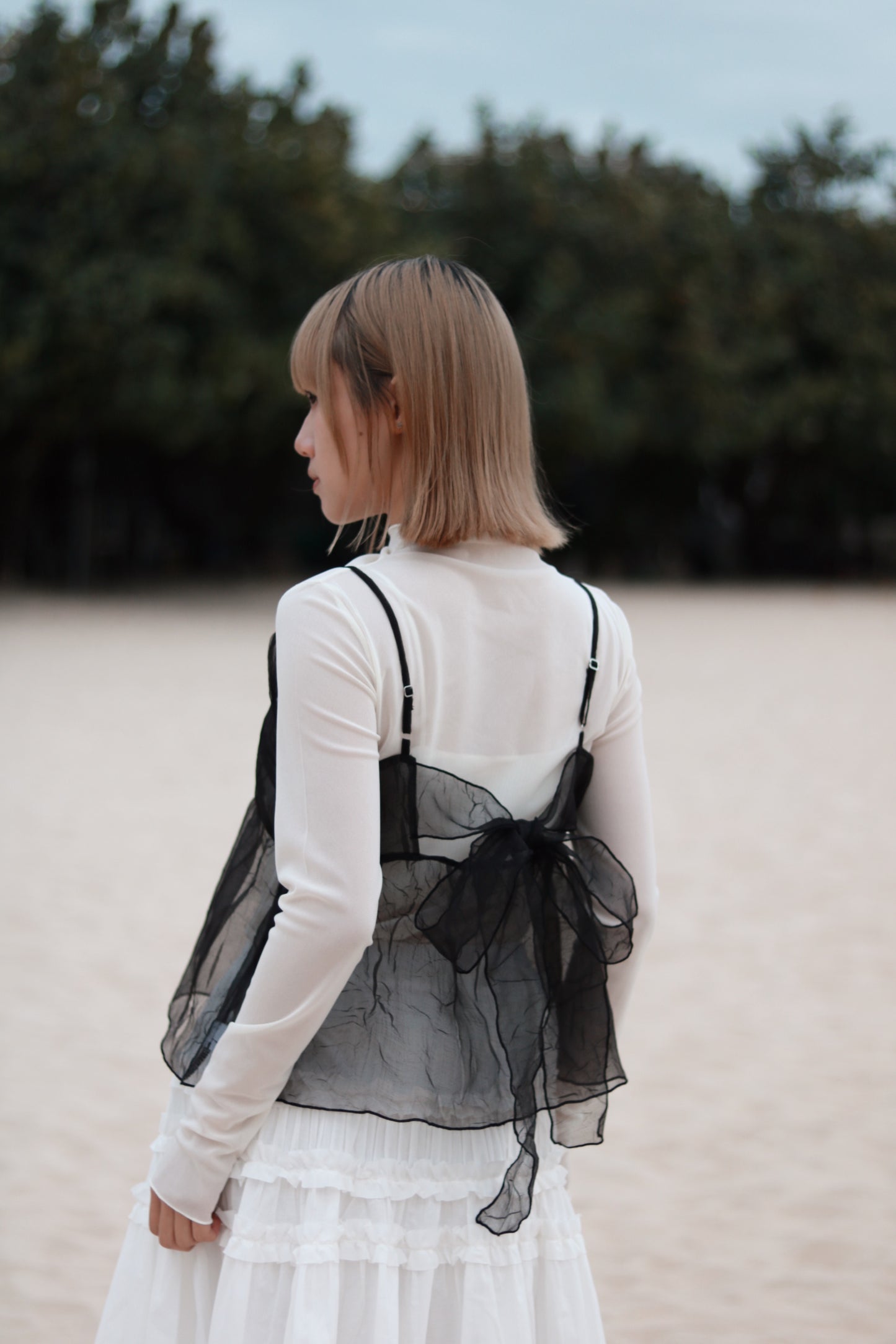 Spring See Through Top (White)