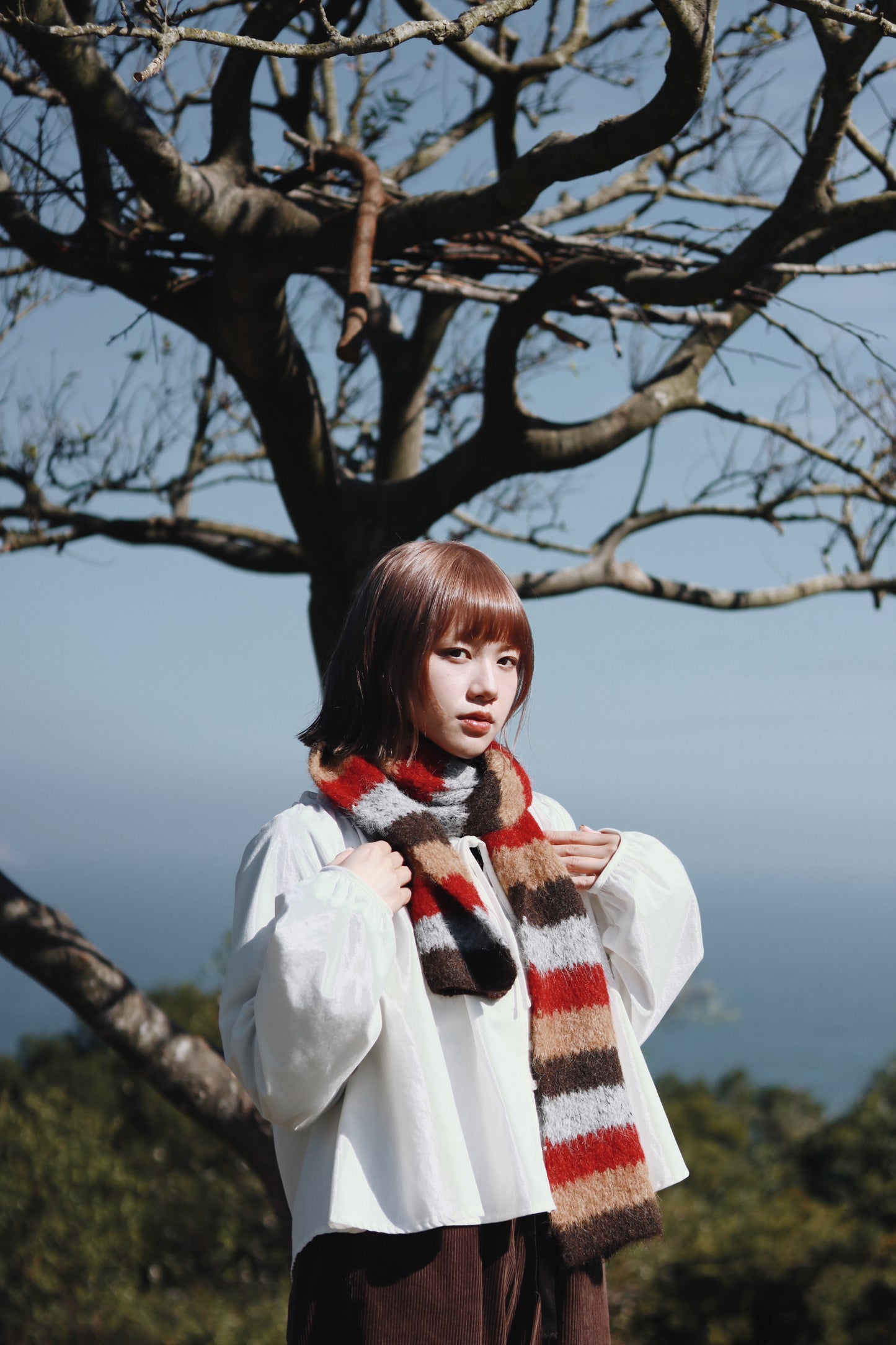 Rainbow Muffler (Black/Brown)