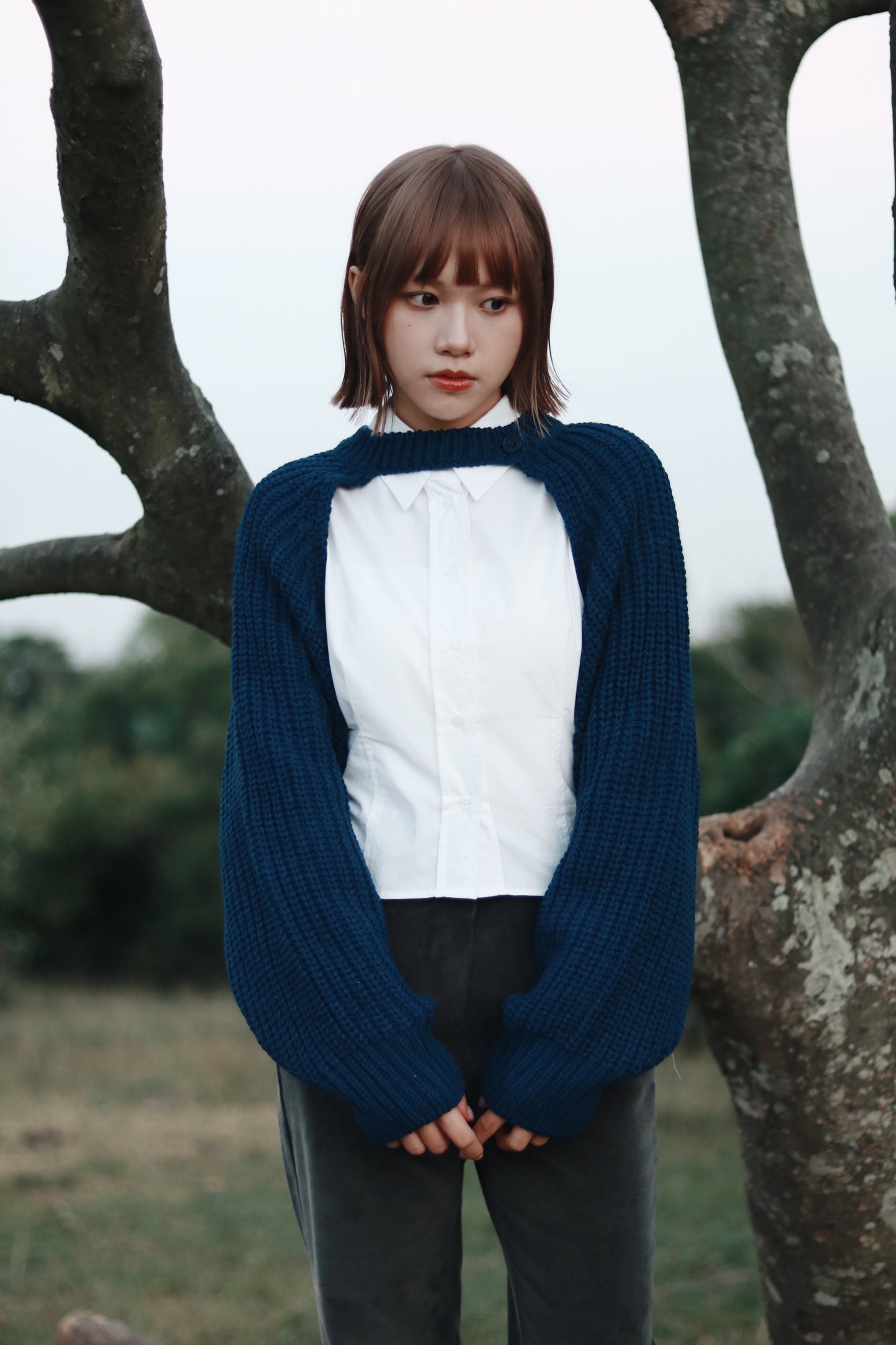 Cropped Shirt (White)