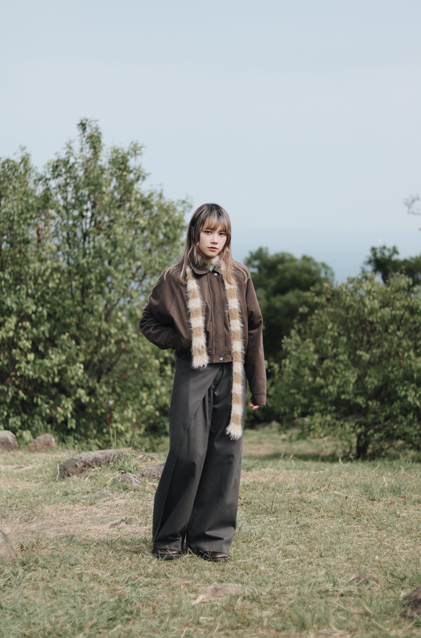 Cropped Blouson Jacket (Brown)