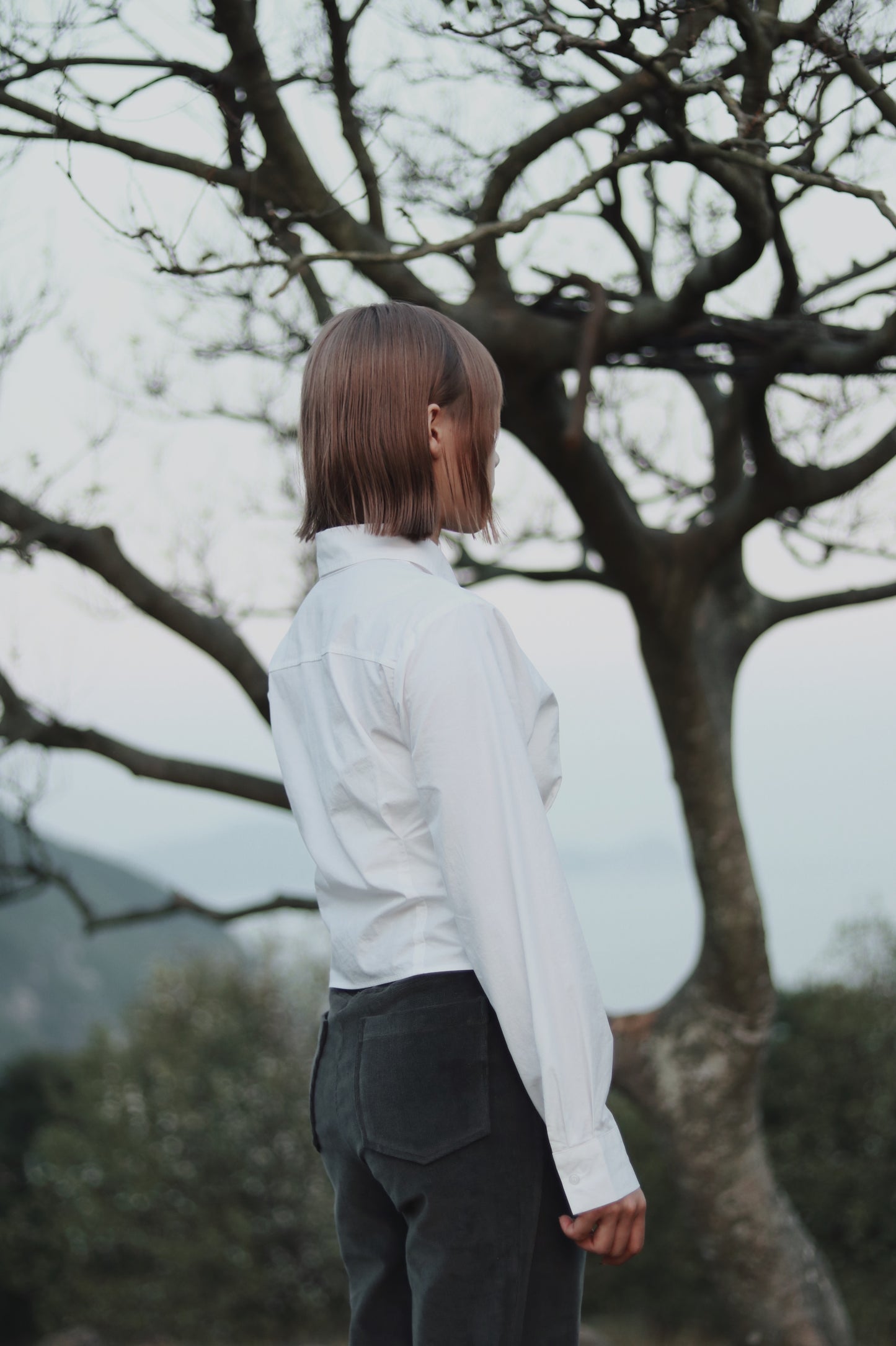 Cropped Shirt (White)