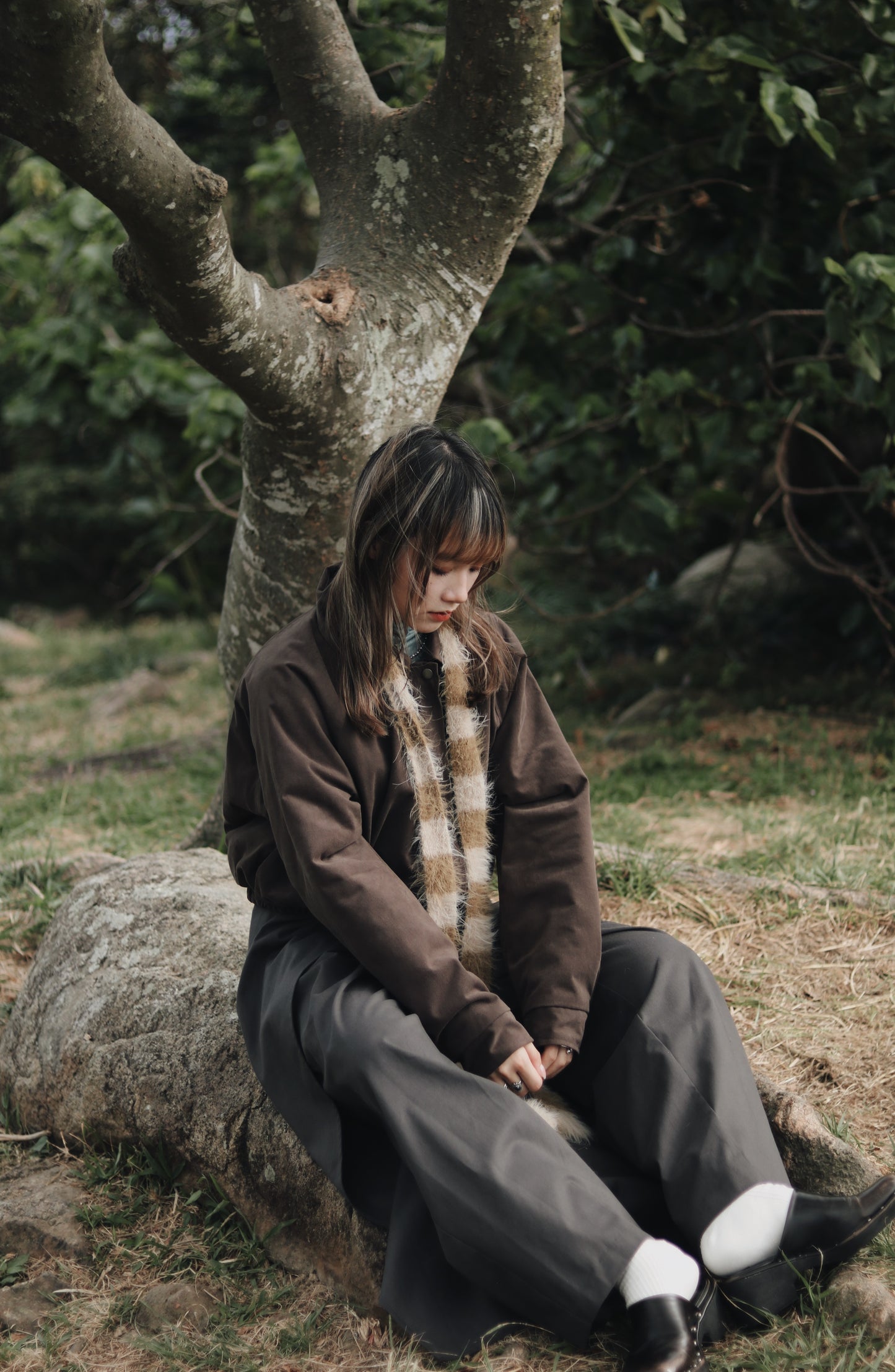 Cropped Blouson Jacket (Brown)