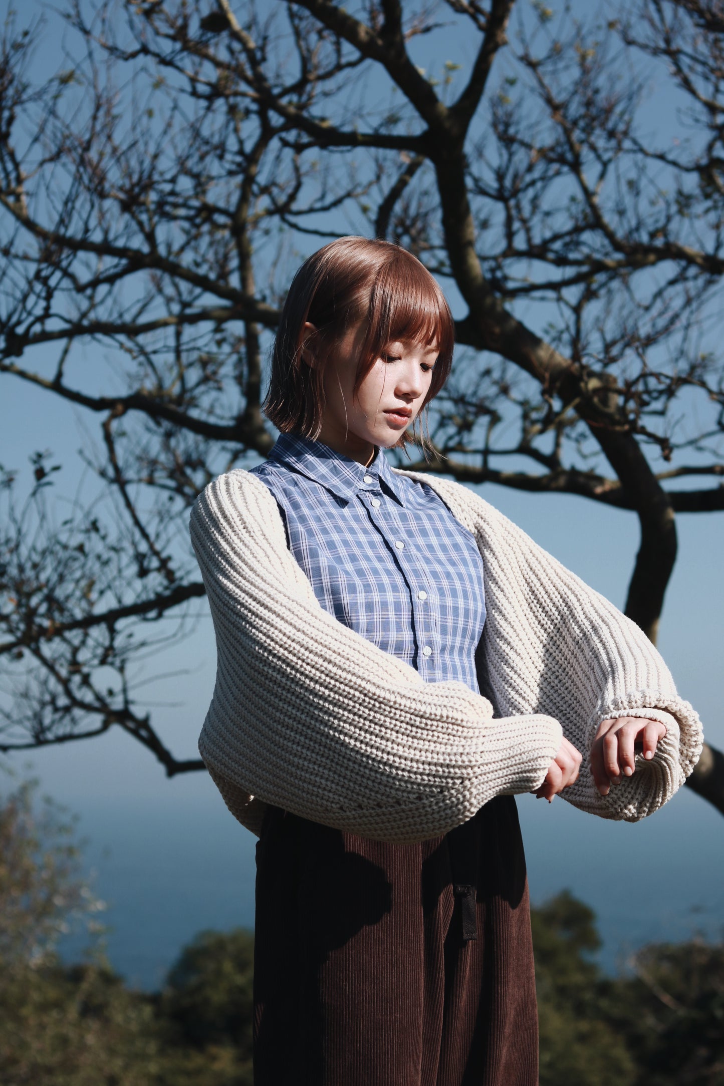 Cropped Shirt (Checkered)