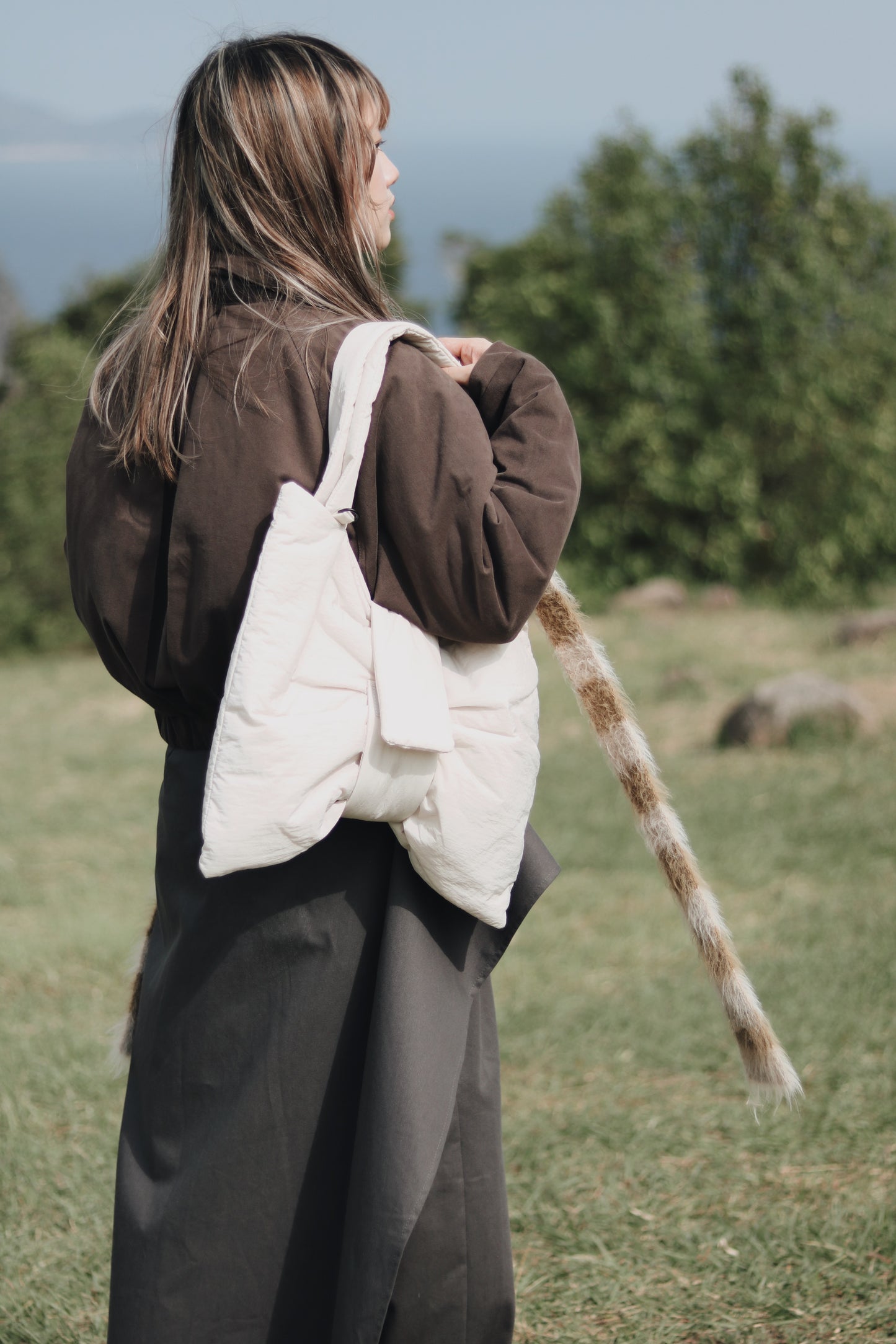 Cropped Blouson Jacket (Brown)