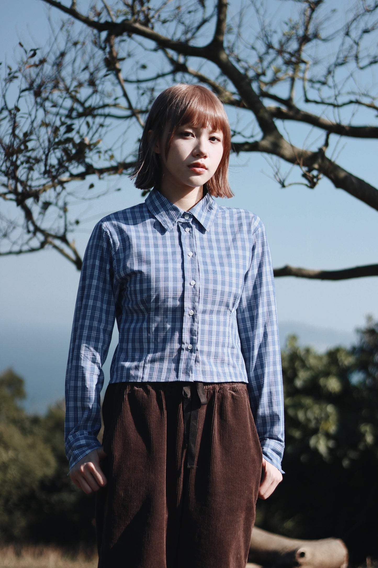 Cropped Shirt (Checkered)