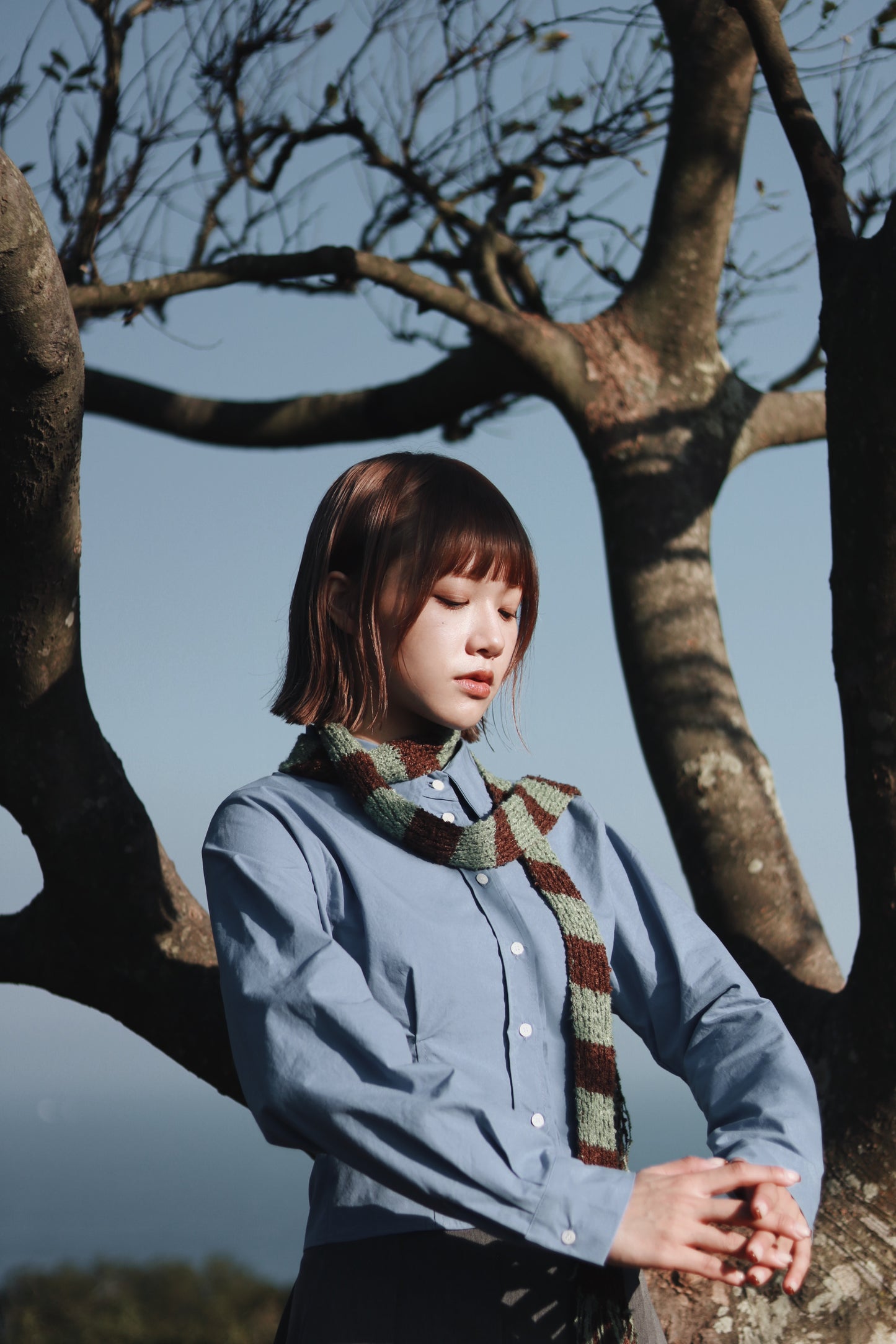 Cropped Shirt (Blue)