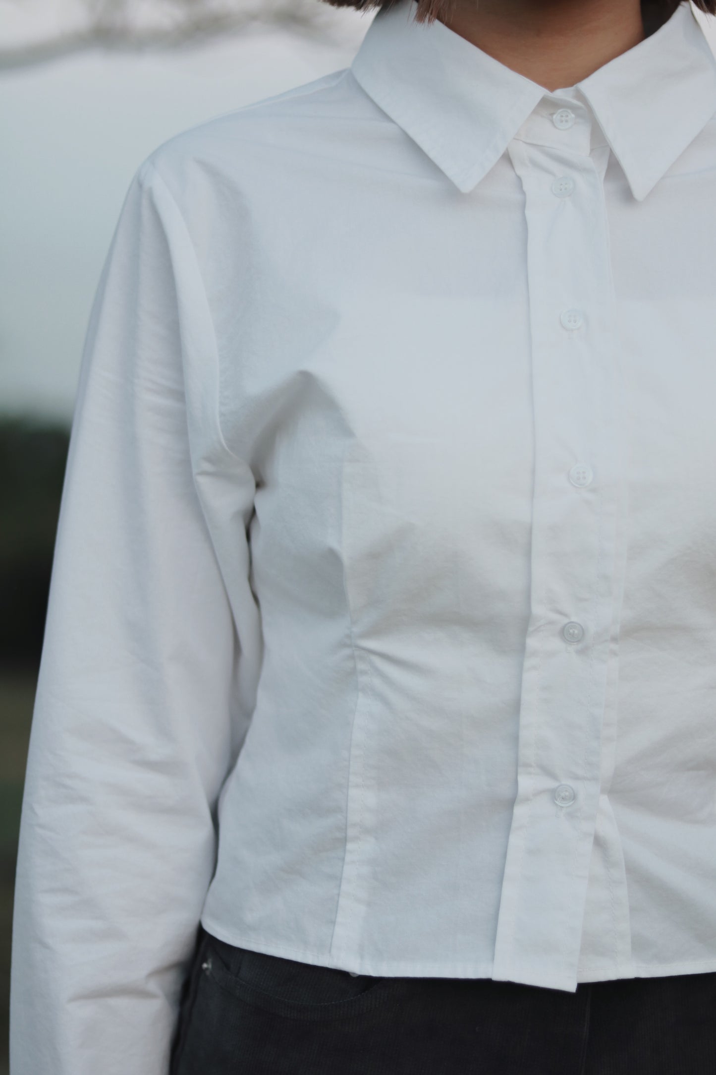 Cropped Shirt (White)