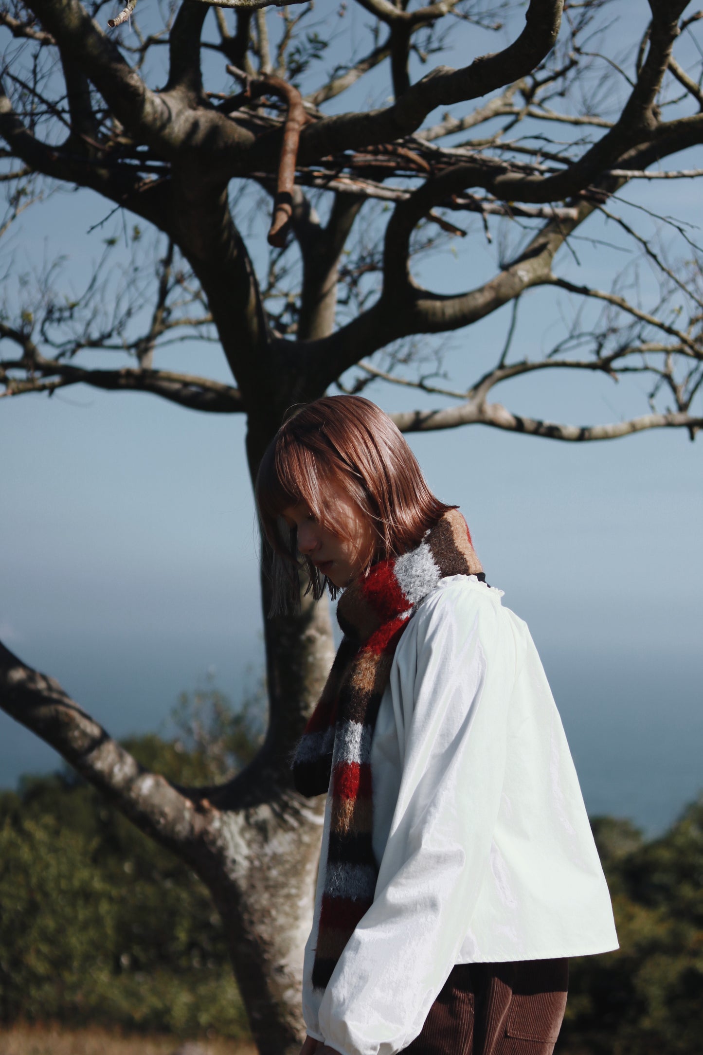 Rainbow Muffler (Black/Brown)