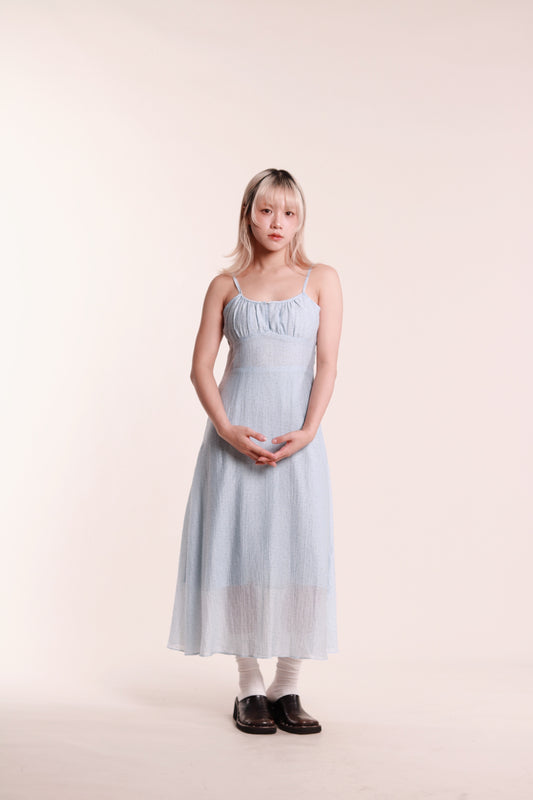 Floral Sleeveless Dress (Blue)