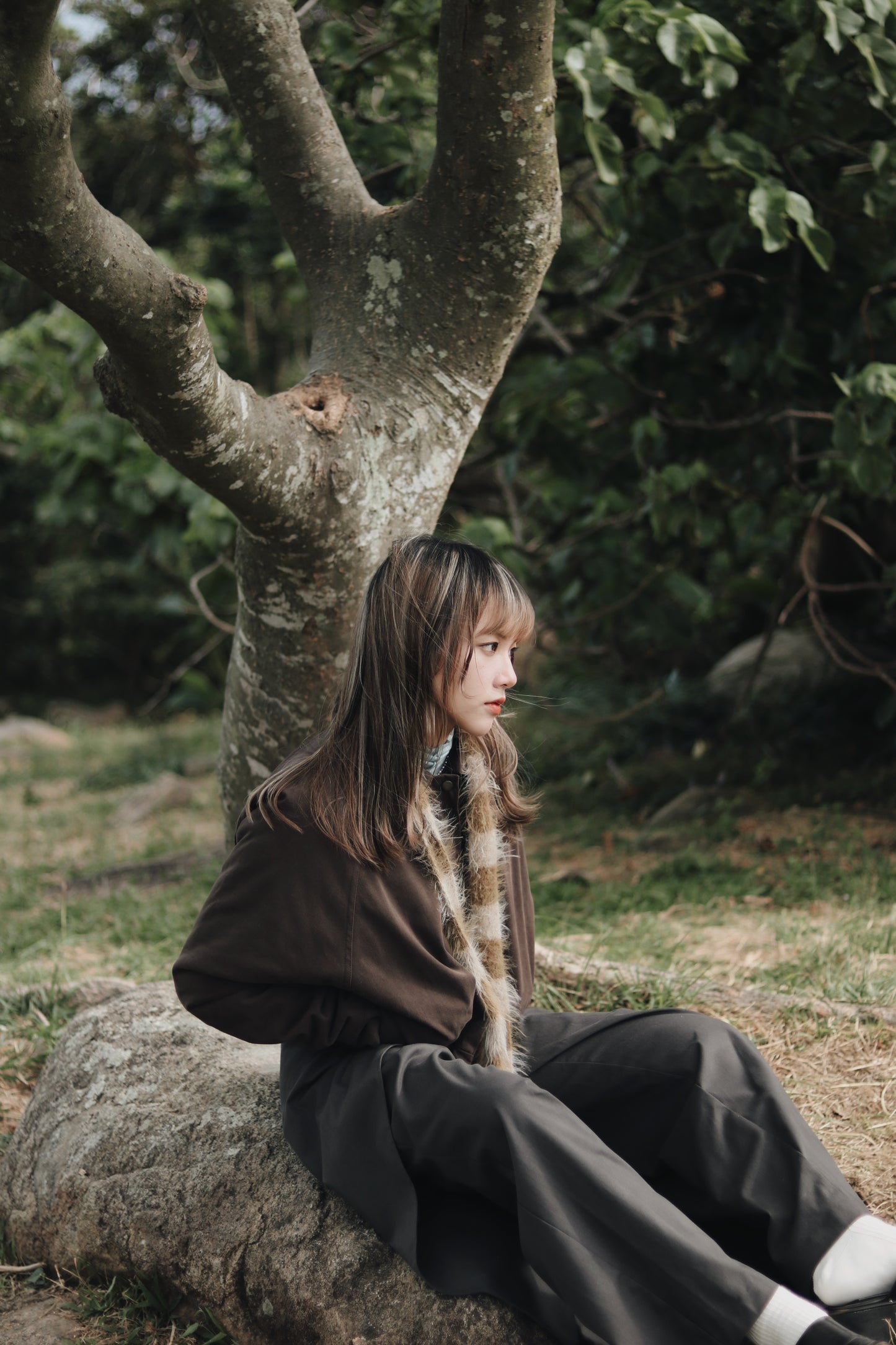 Cropped Blouson Jacket (Brown)