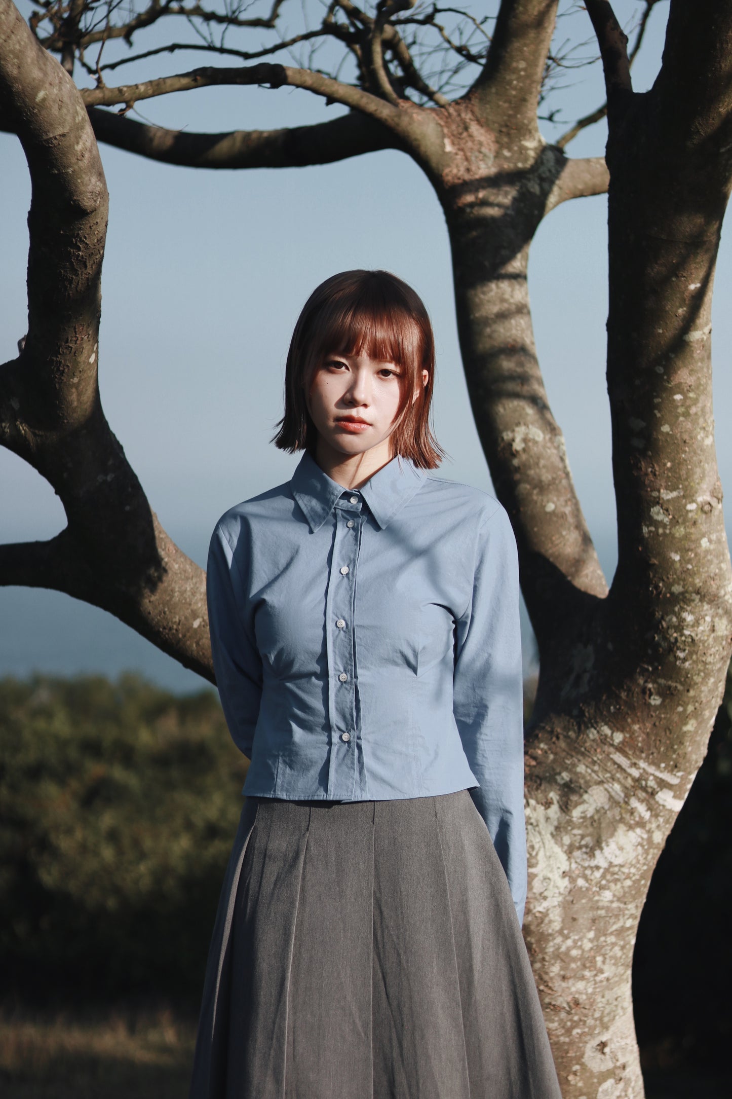 Cropped Shirt (Blue)