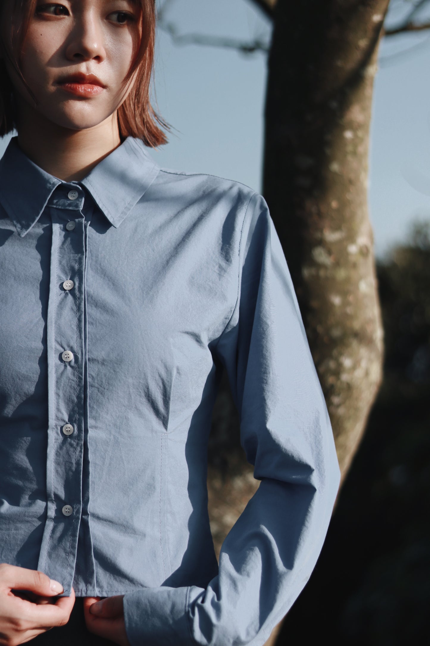 Cropped Shirt (Blue)