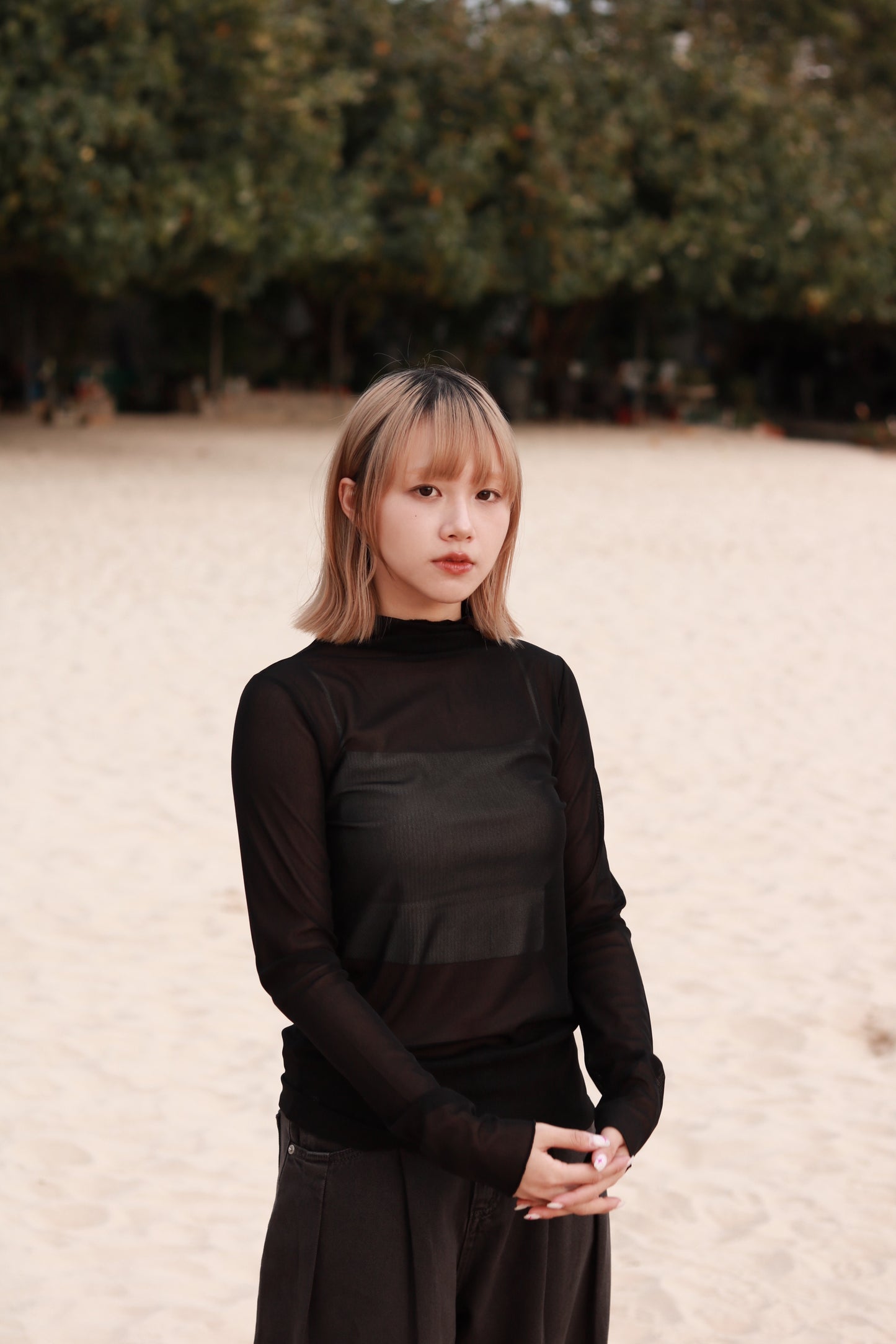 Spring See Through Top (Black)