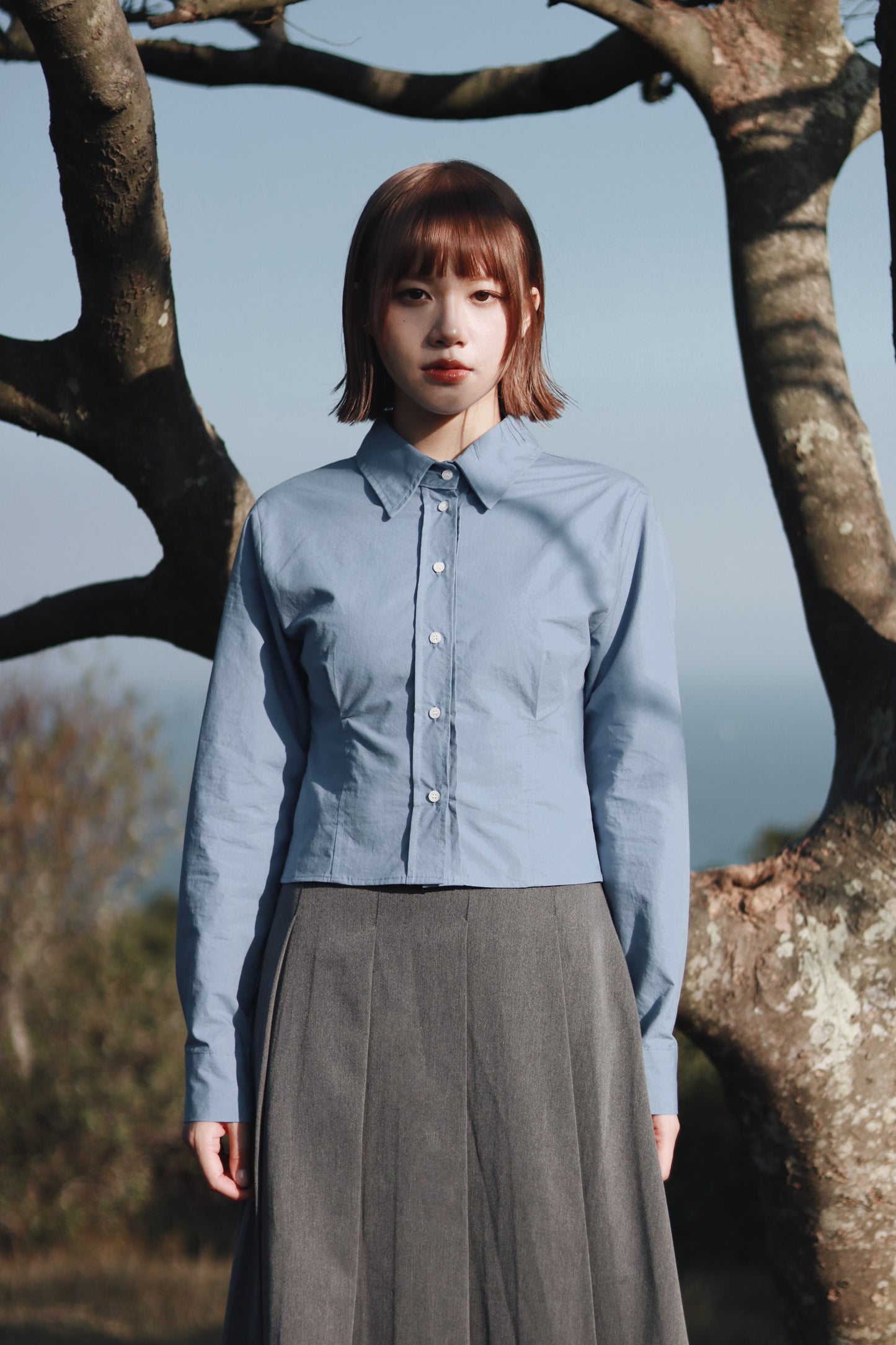 Cropped Shirt (Blue)