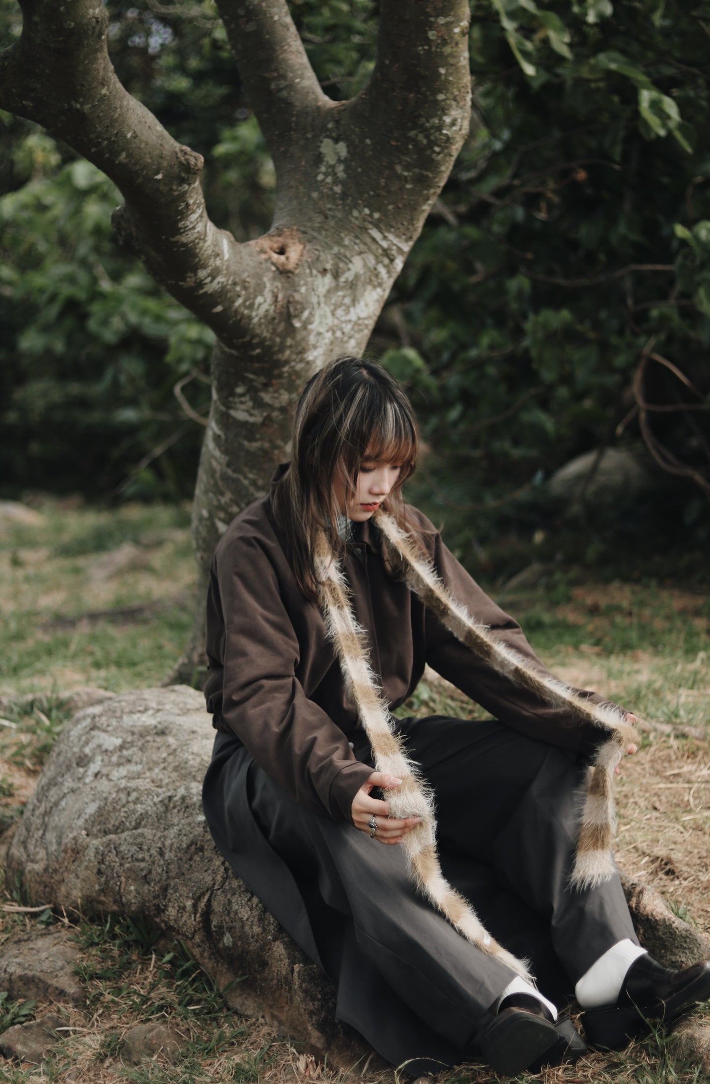 Cropped Blouson Jacket (Brown)