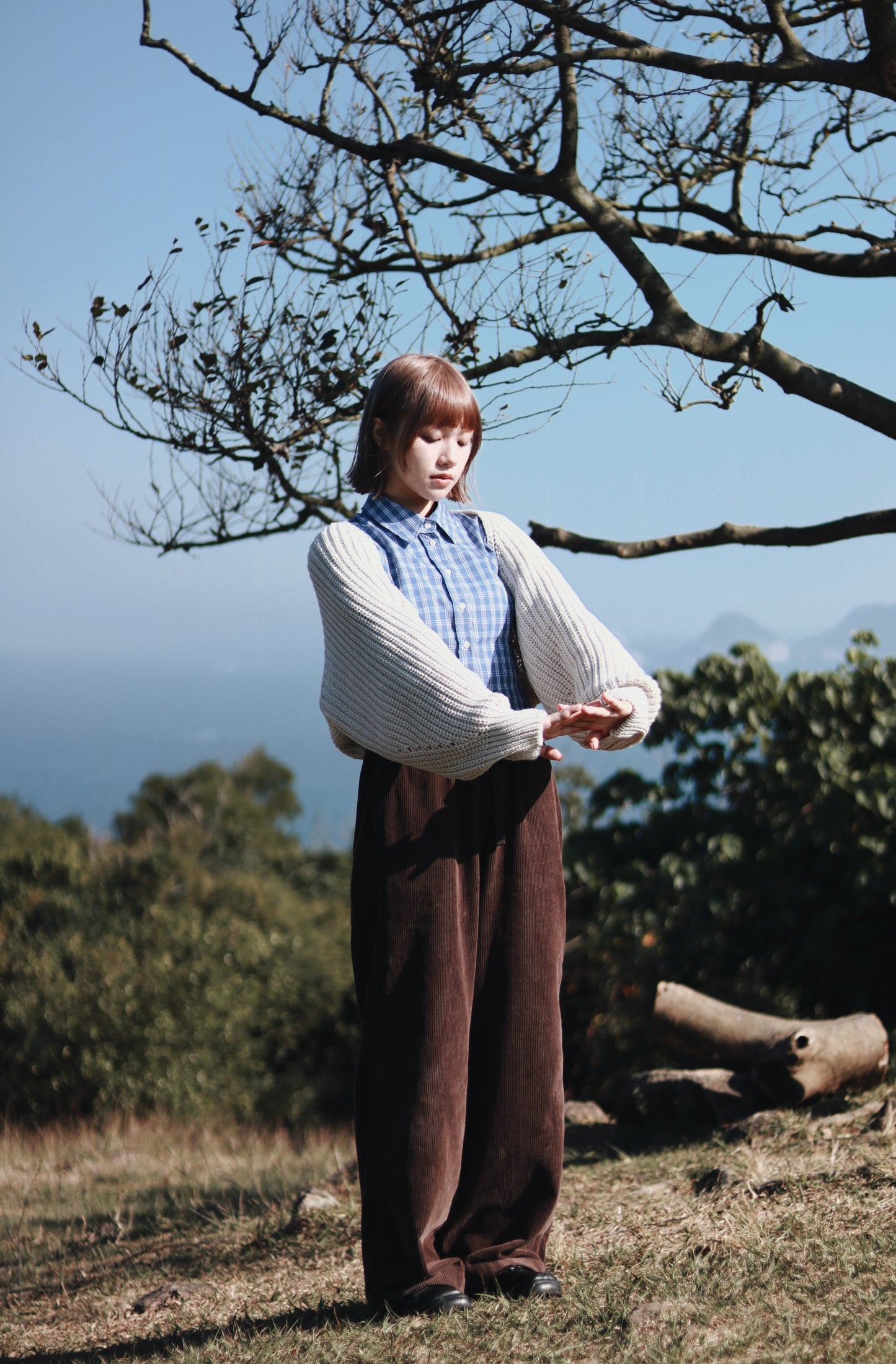 Cropped Shirt (Checkered)