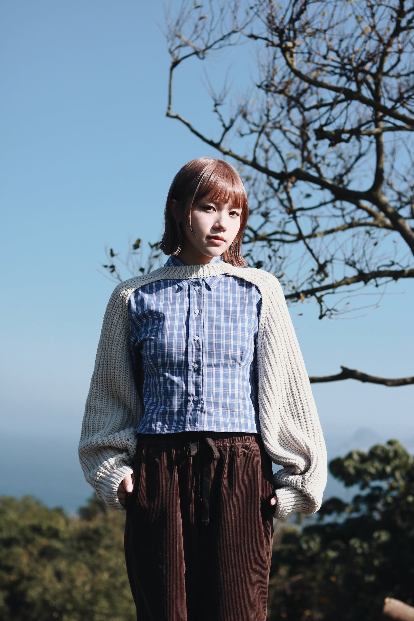 Cropped Shirt (Checkered)