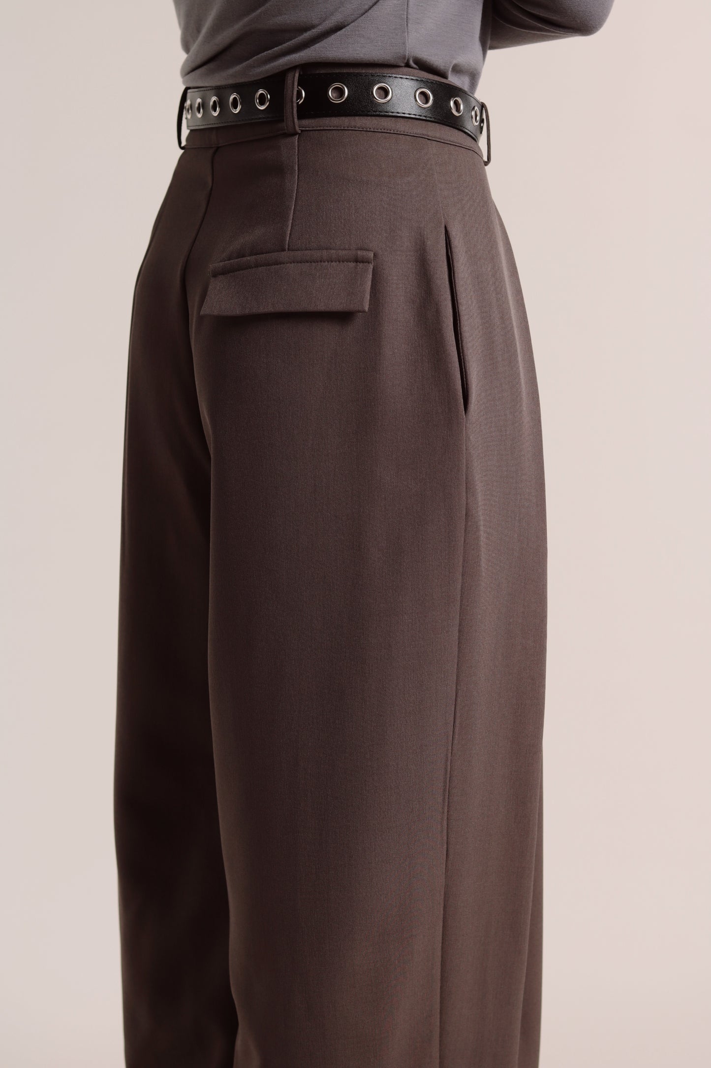 Spring Pleat Pants (Brown)