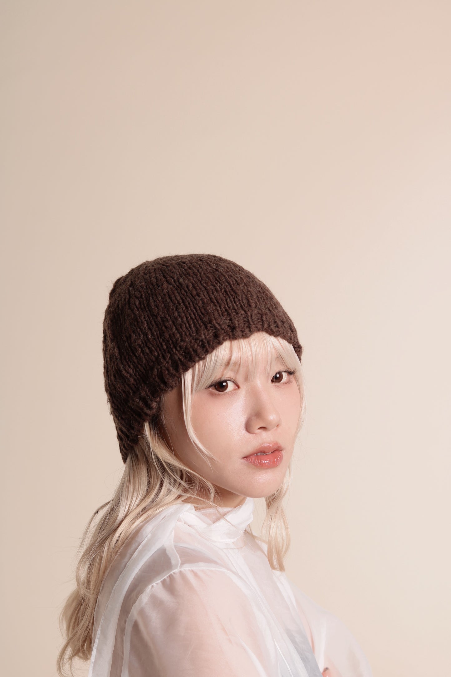 Knit Beanie (Brown)