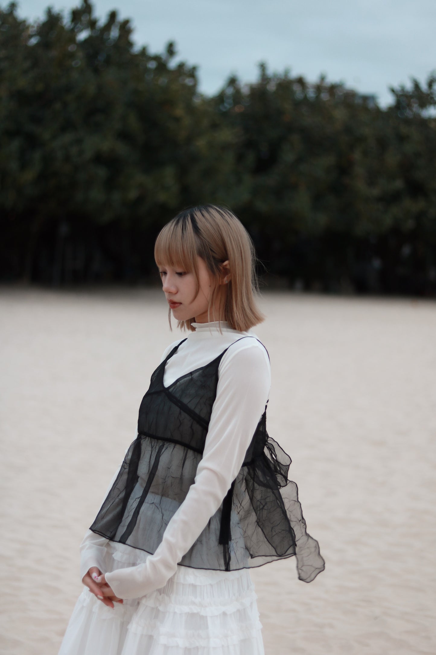 Spring See Through Top (White)