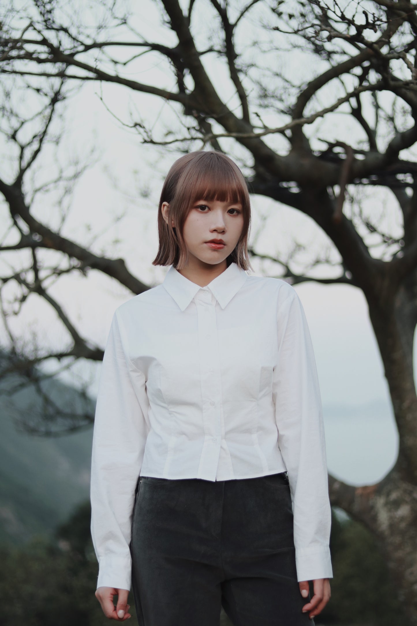 Cropped Shirt (White)