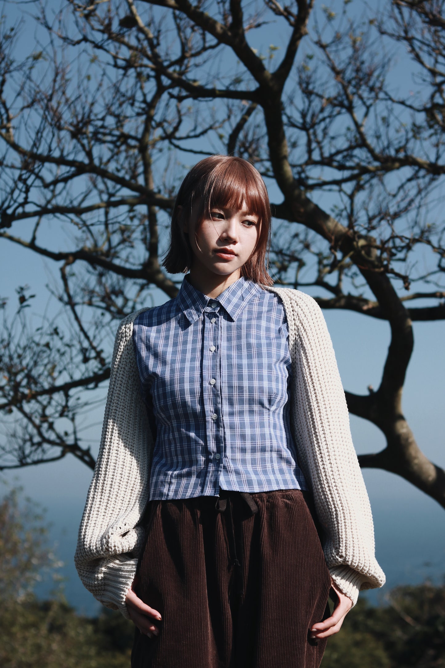 Cropped Shirt (Checkered)