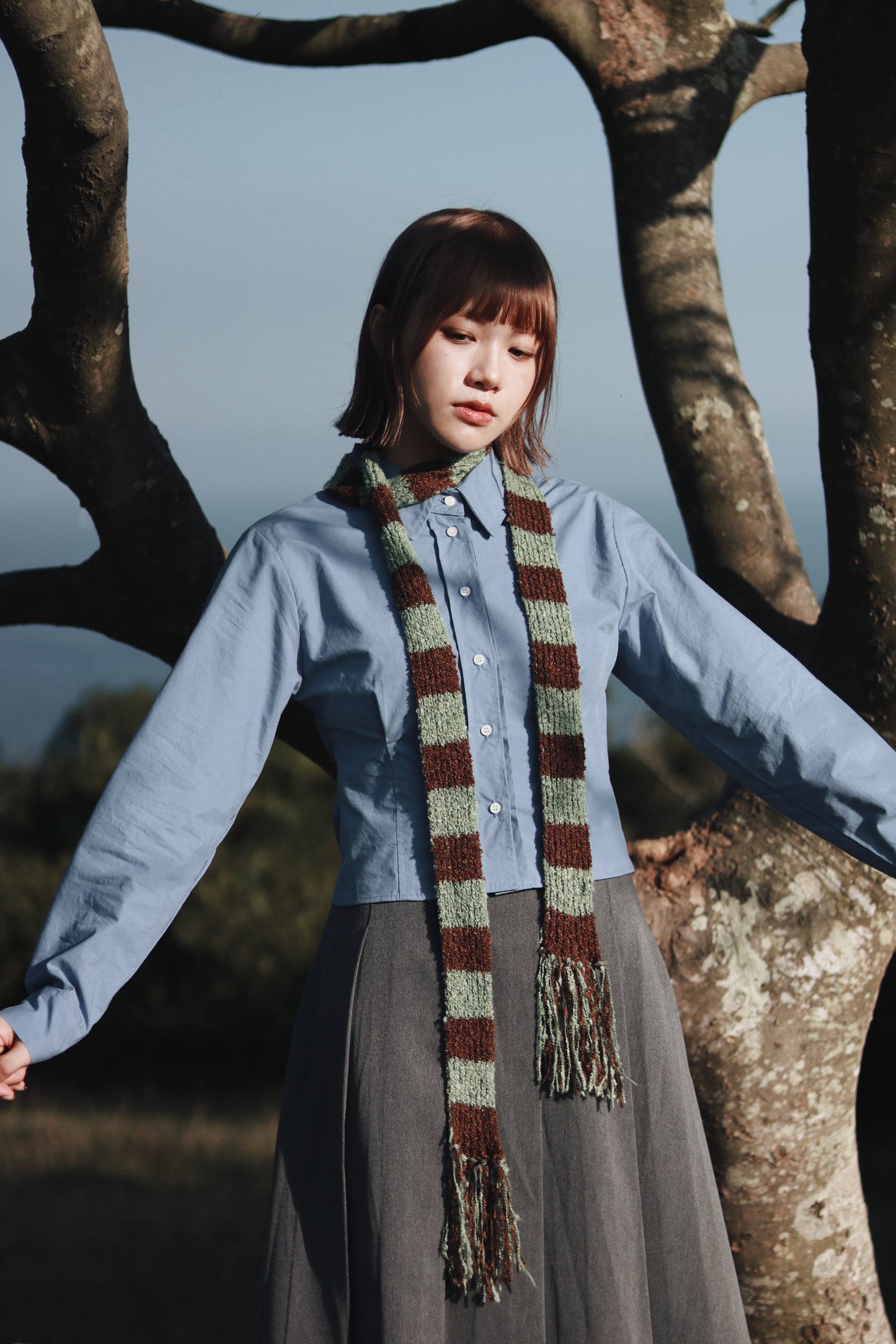 Cropped Shirt (Blue)