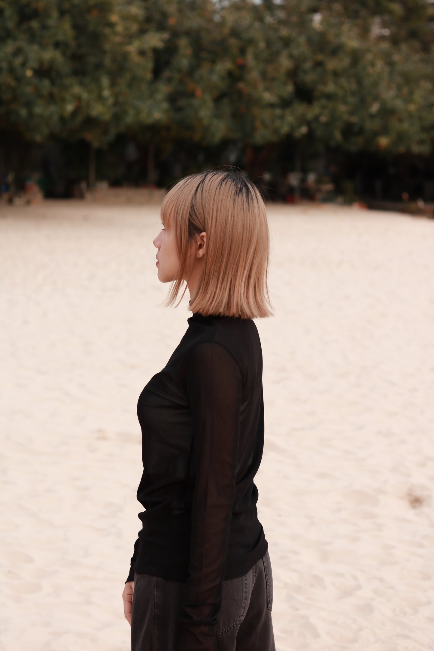 Spring See Through Top (Black)