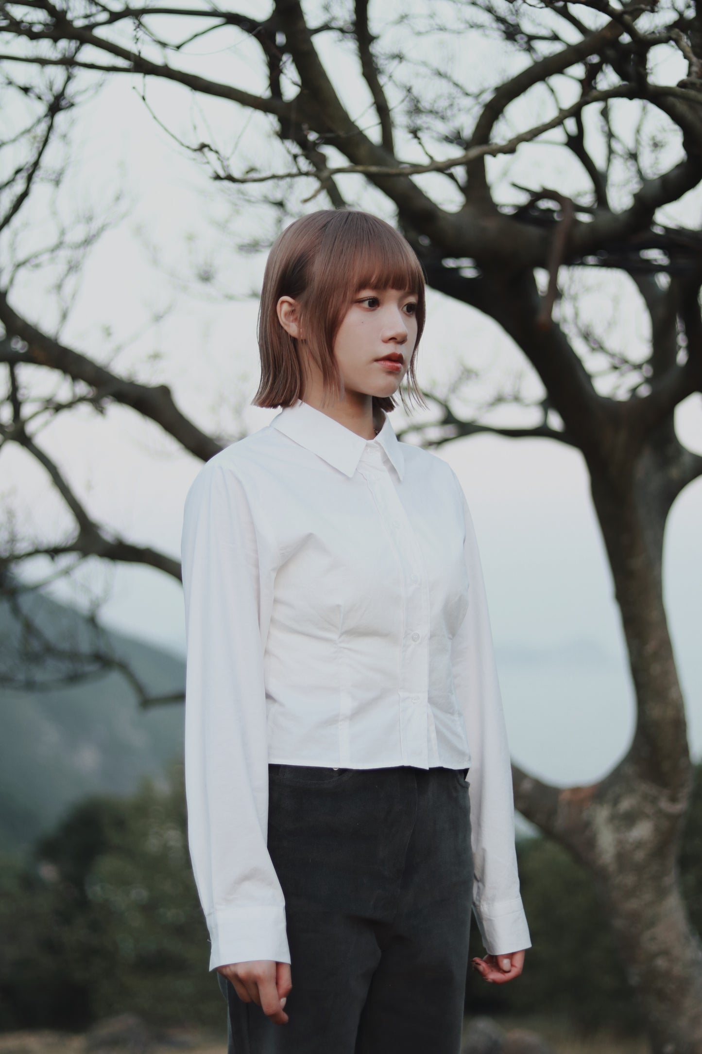 Cropped Shirt (White)