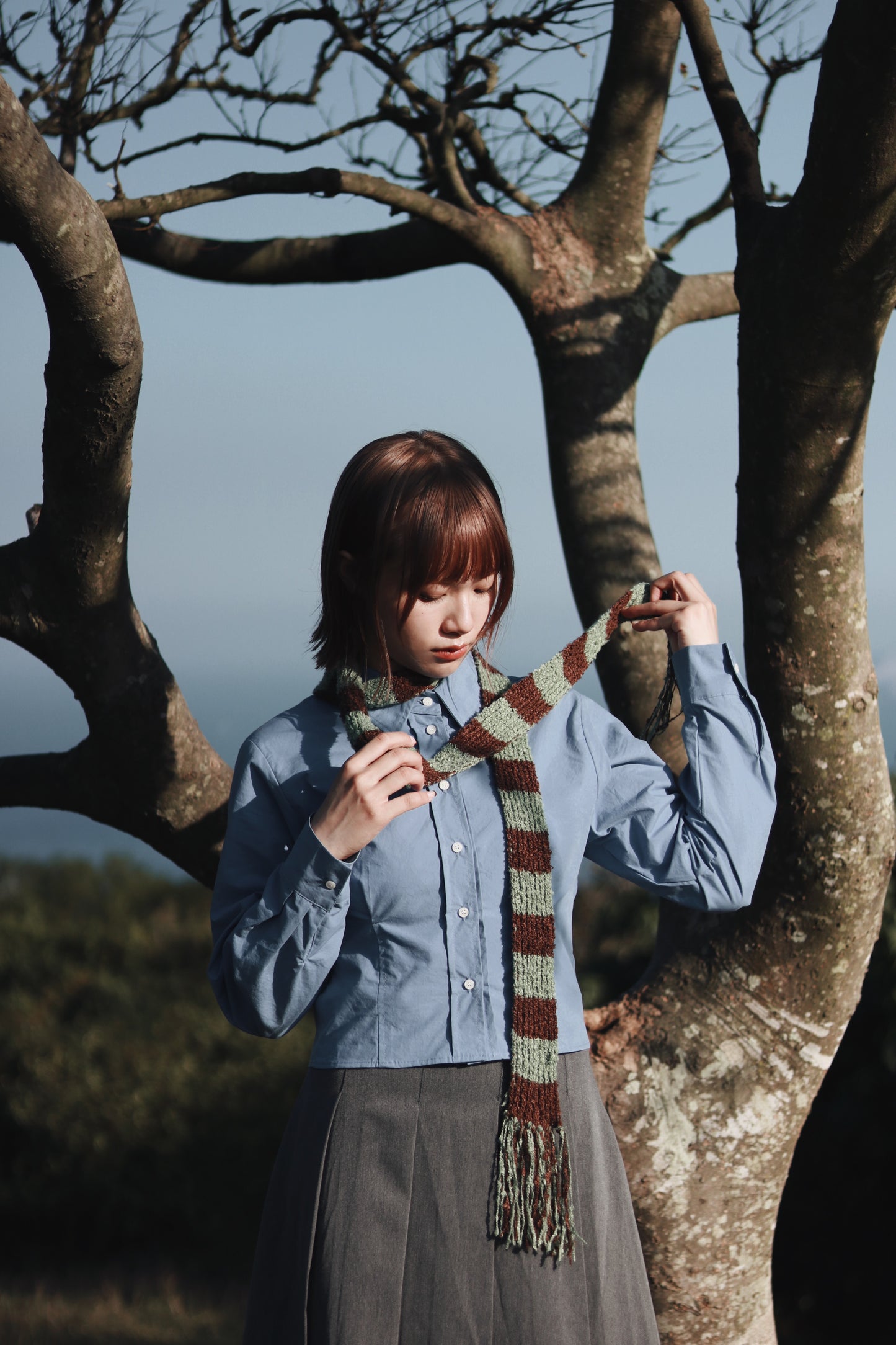 Cropped Shirt (Blue)