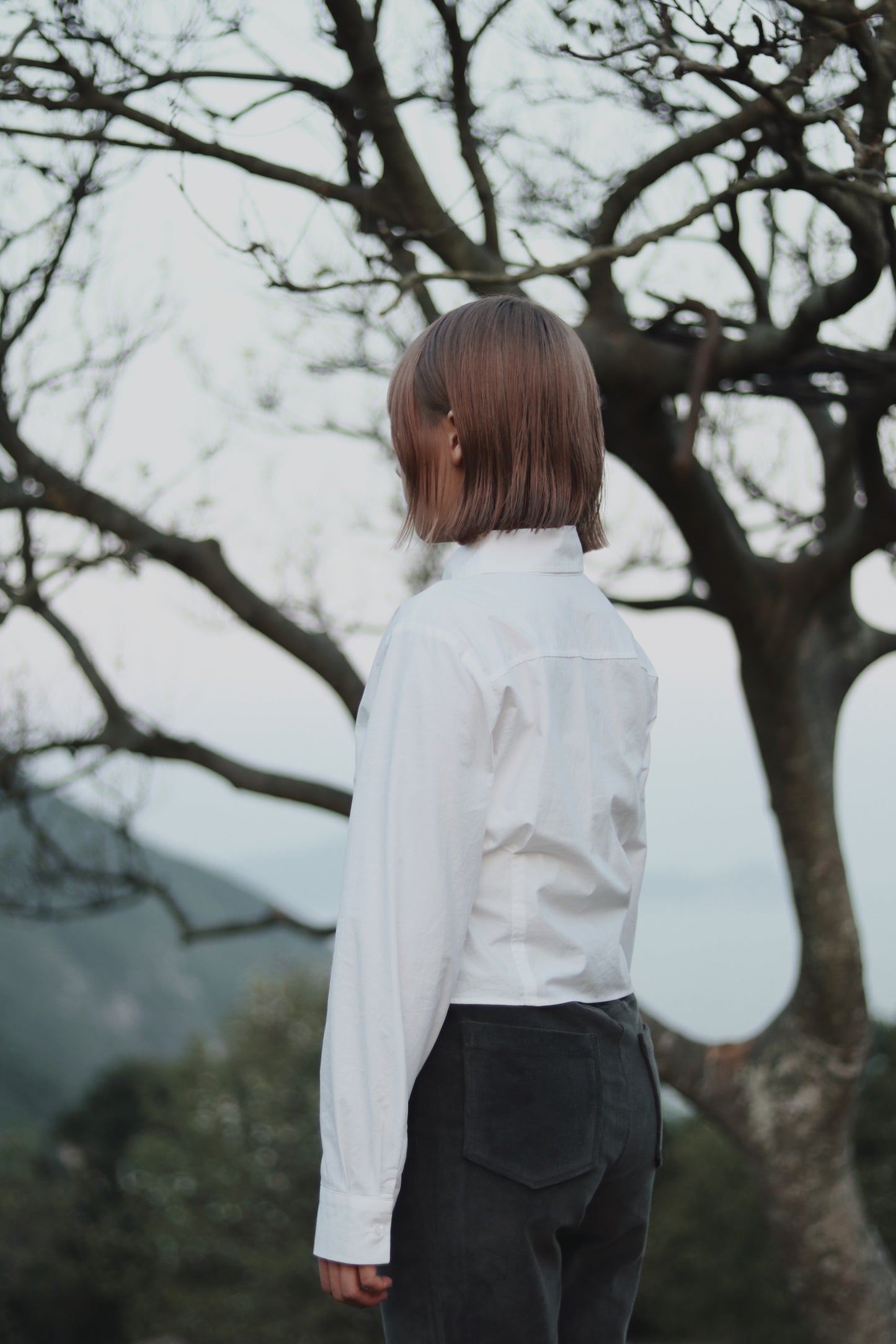 Cropped Shirt (White)