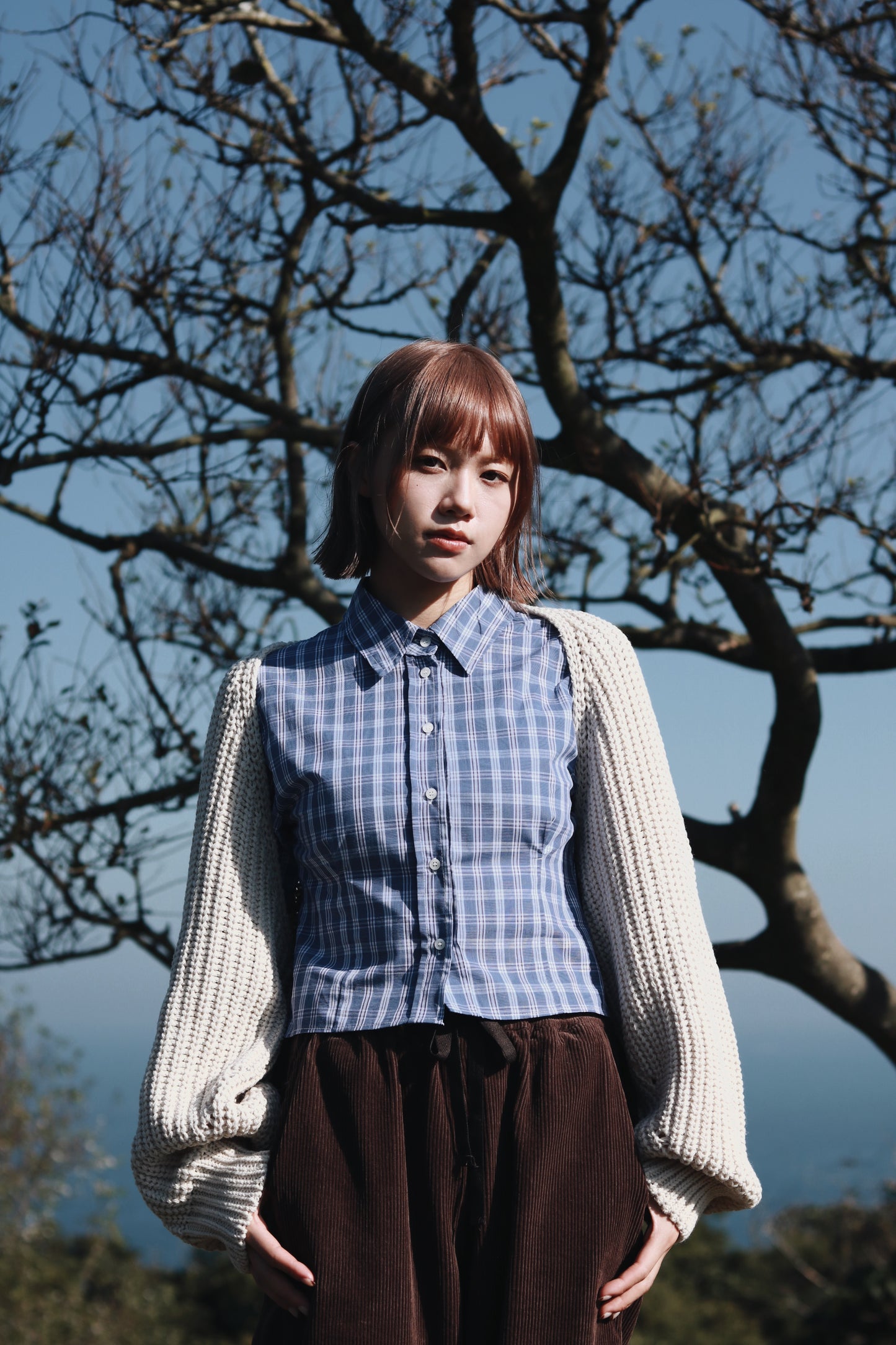 Cropped Shirt (Checkered)