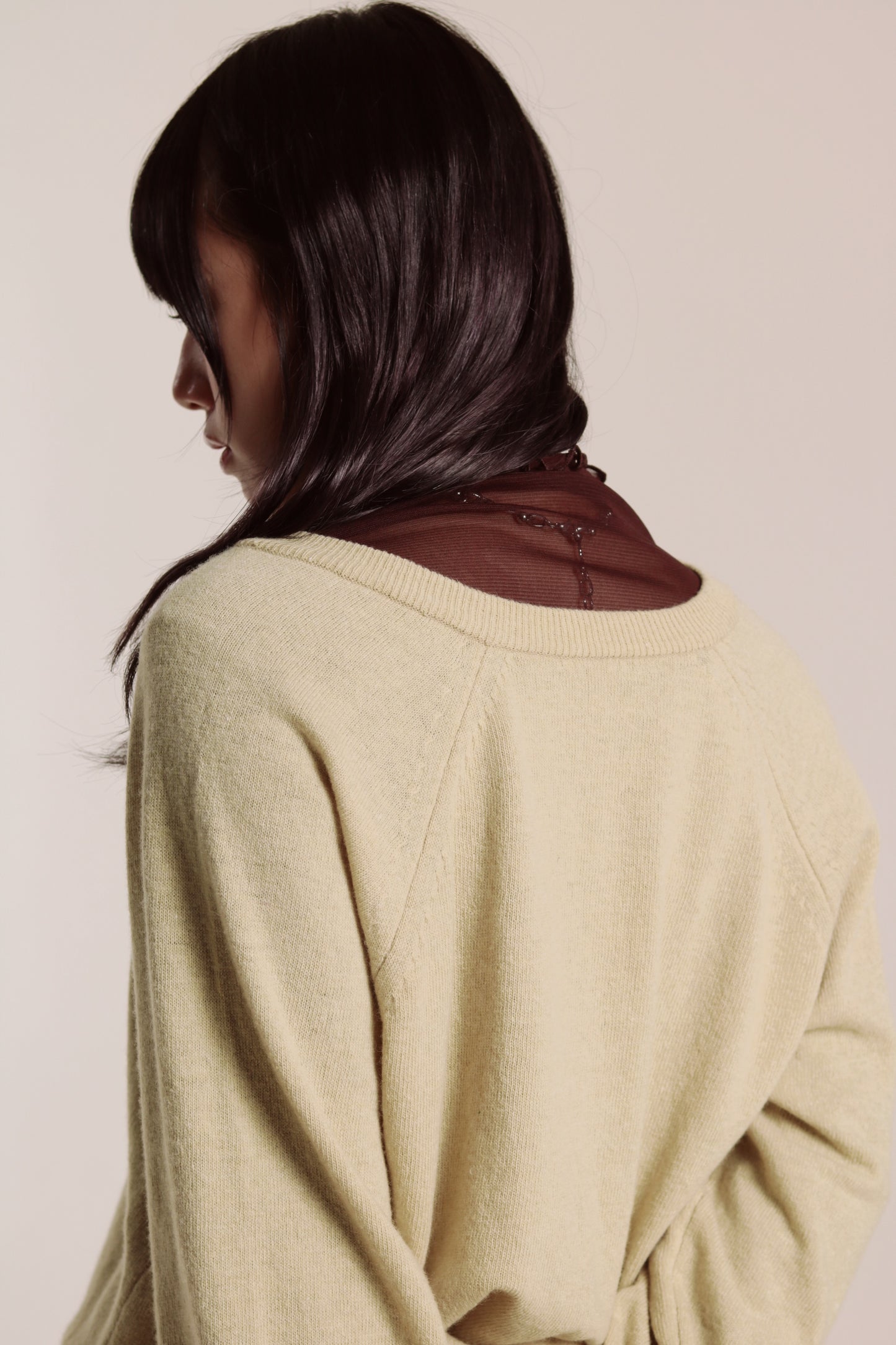 Ruffle See Through Top (Brown)