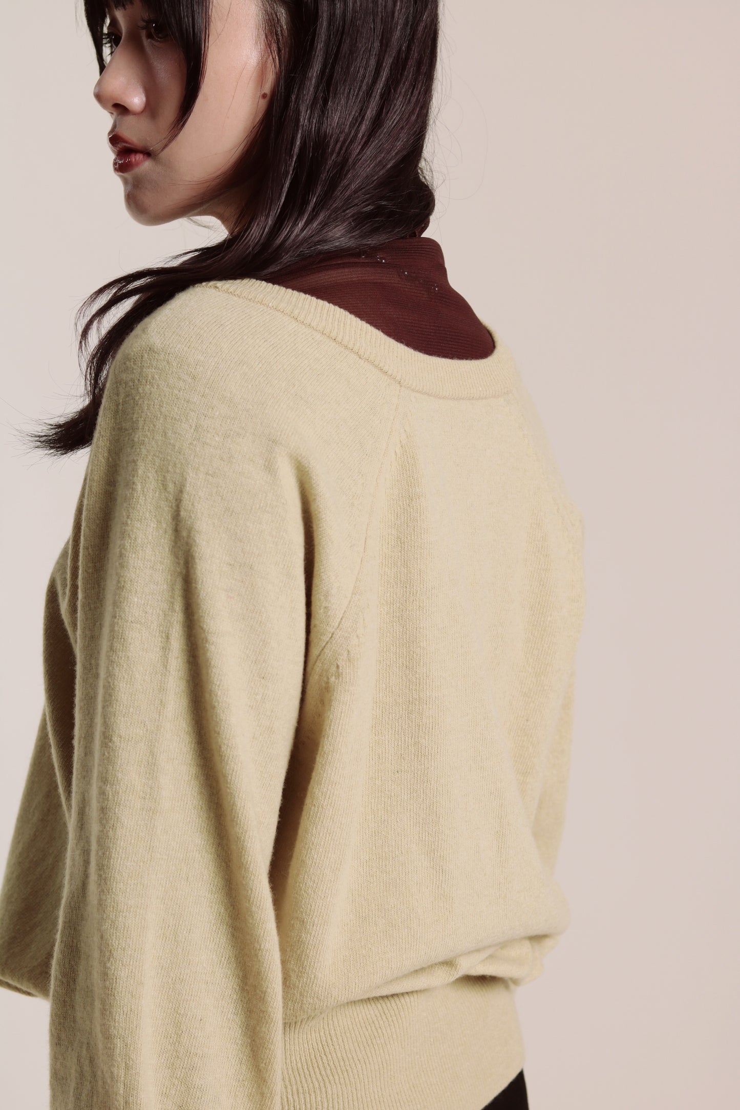 Ruffle See Through Top (Brown)